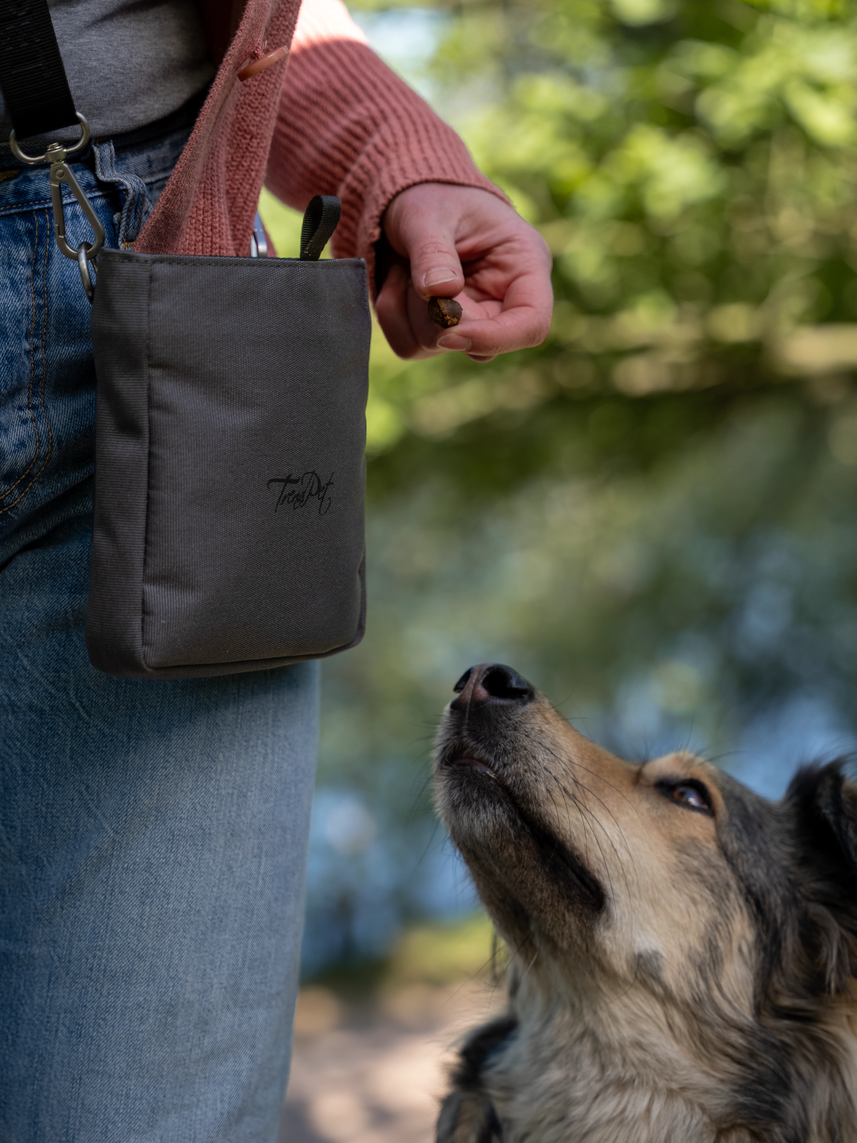 Snaxx Leckerlibeutel von TrendPet