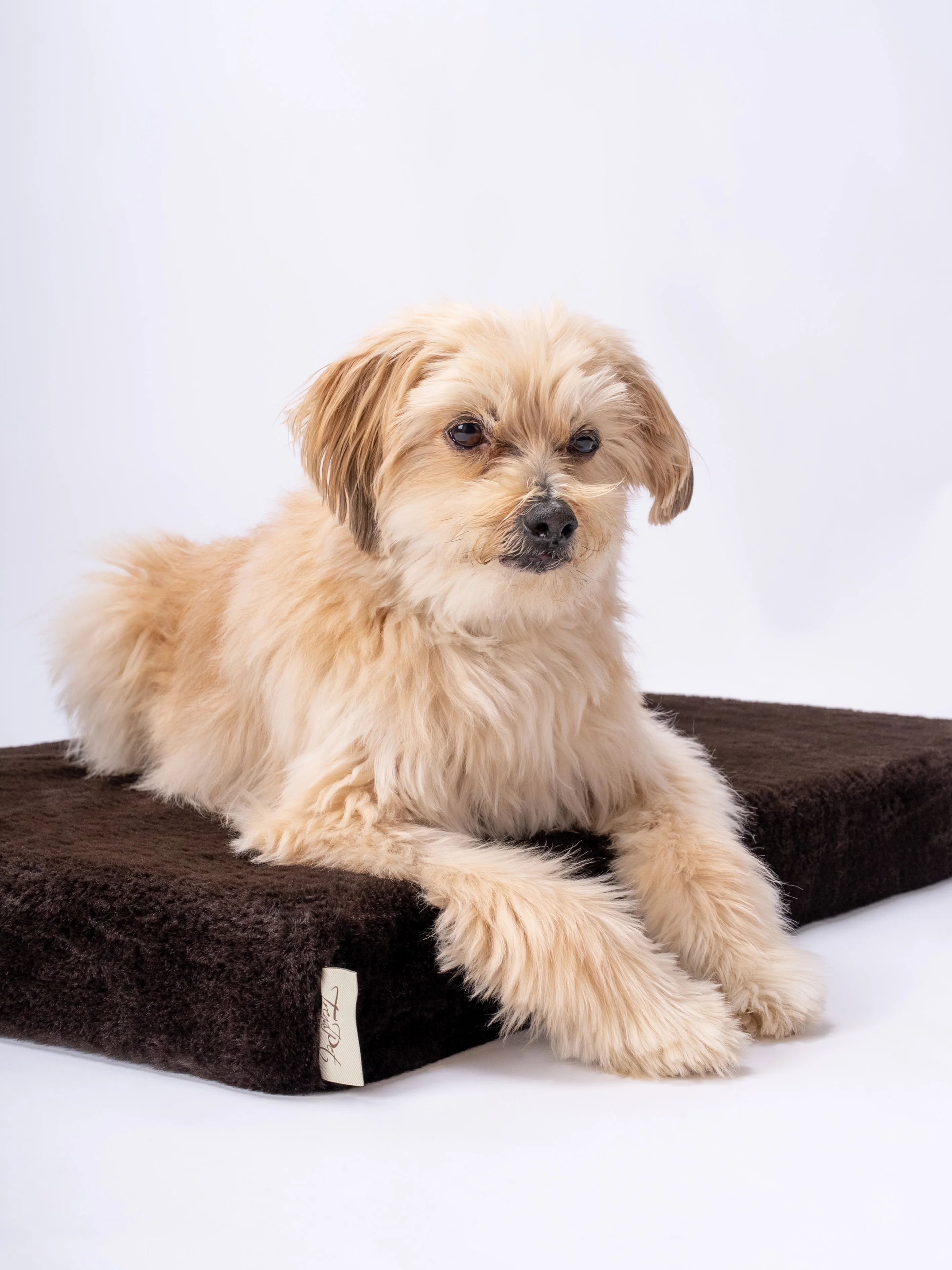 VitaMedog - 7 cm 
