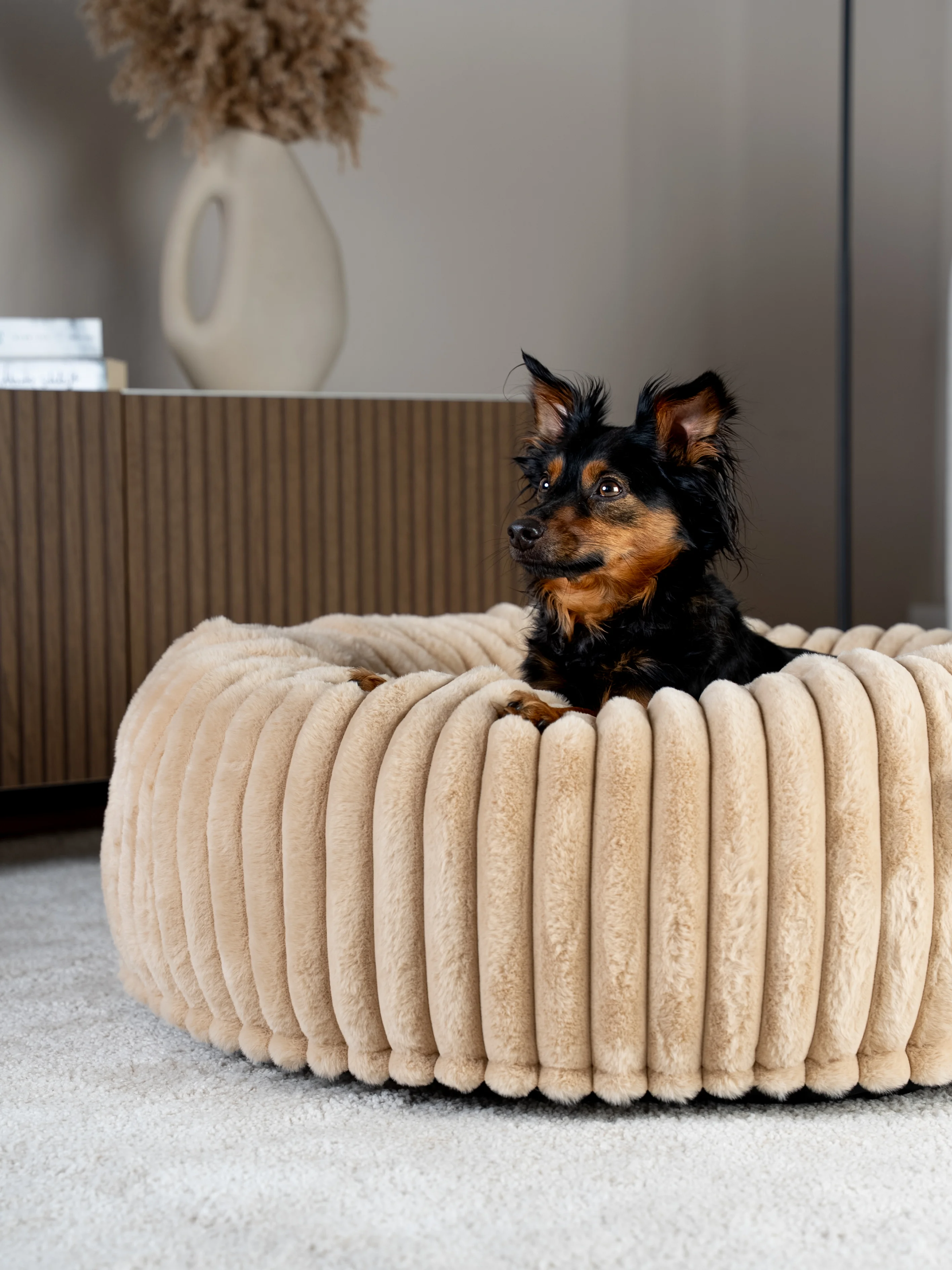 Biscuit Spot von TrendPet