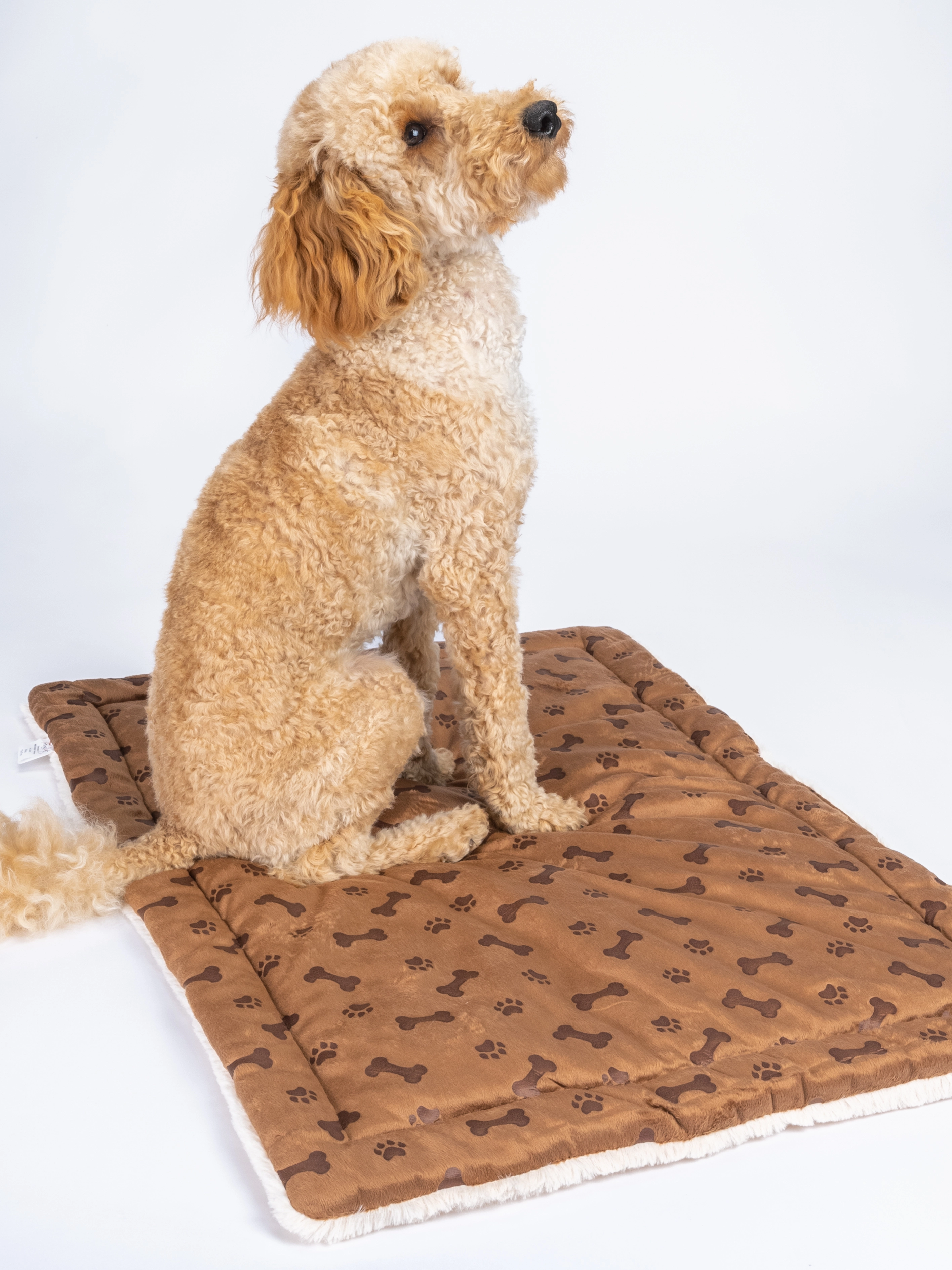 Relaxdecke von TrendPet fuer Hunde