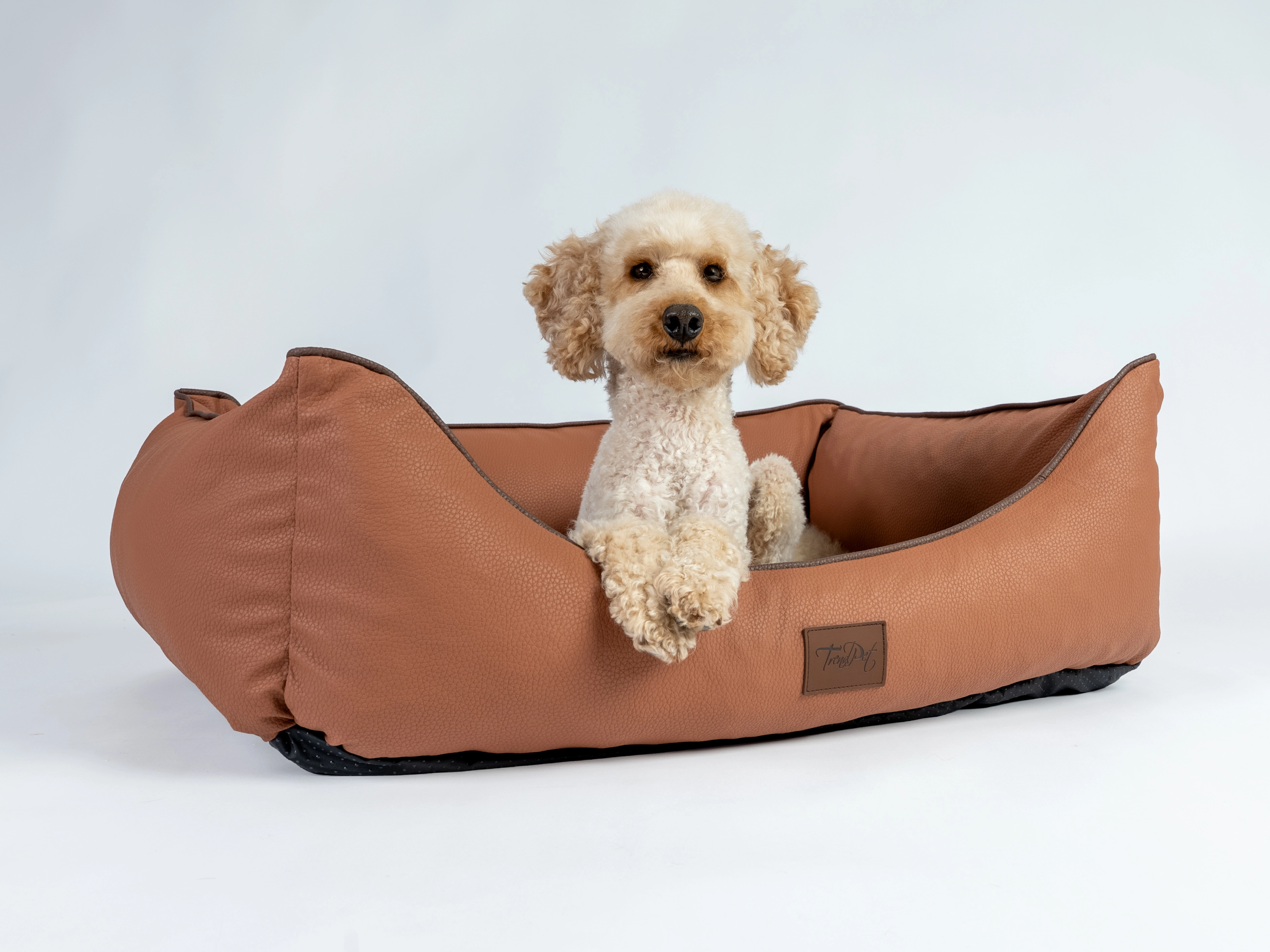 Hund liegt im TrendPet Bett Runa