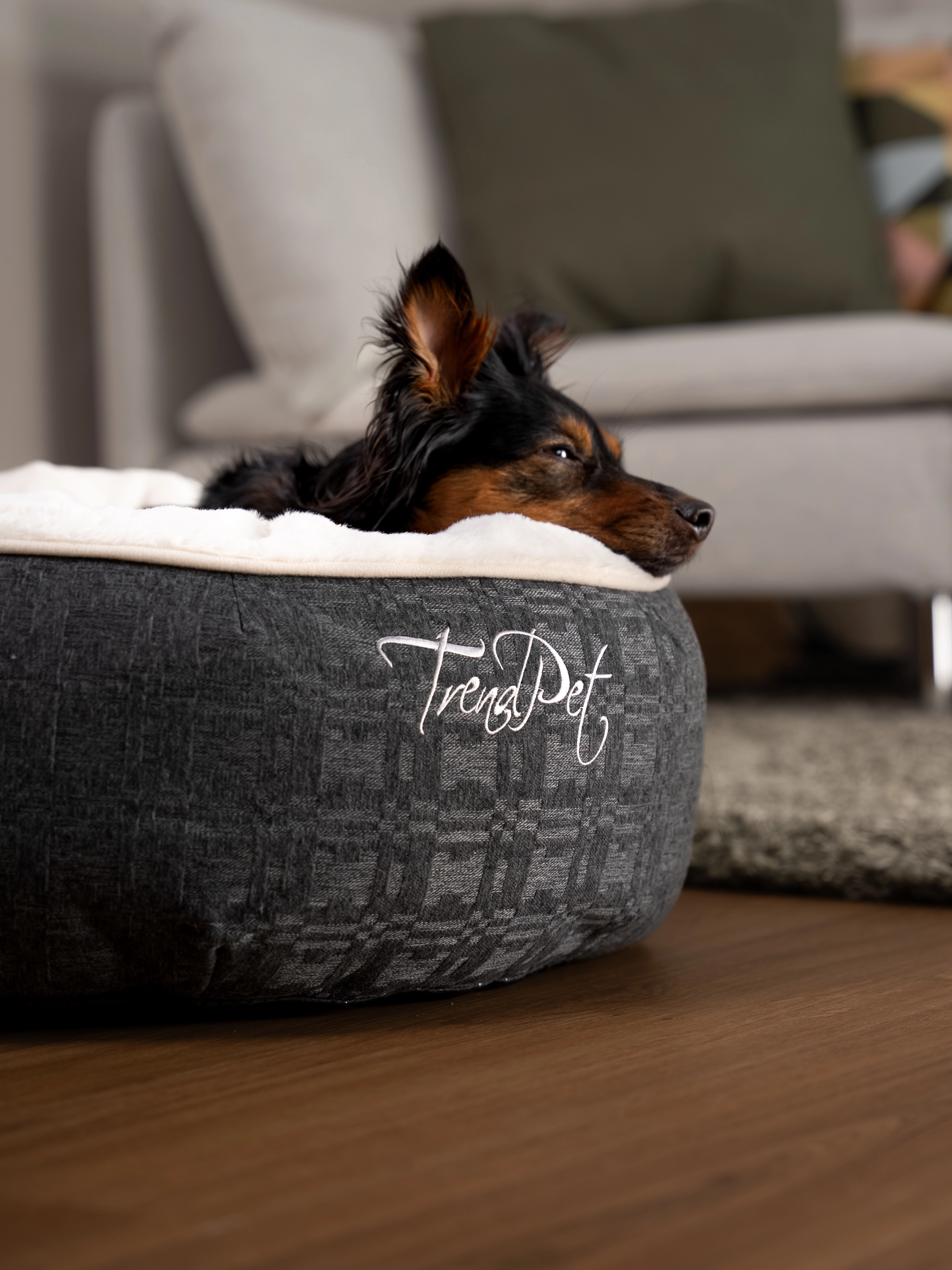 Hund liegt im LunaBed von TrendPet