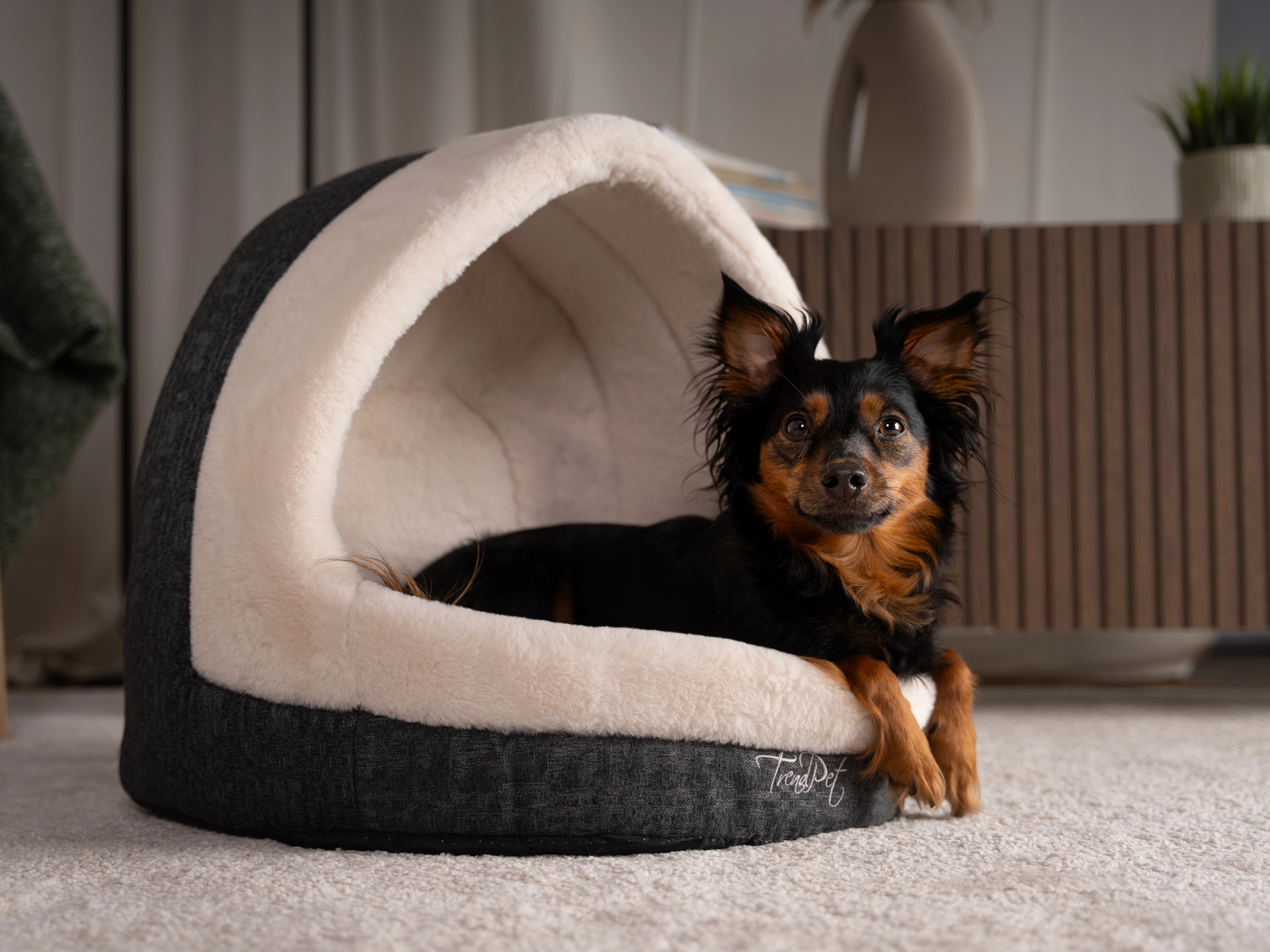 Hund liegt in der LunaHome