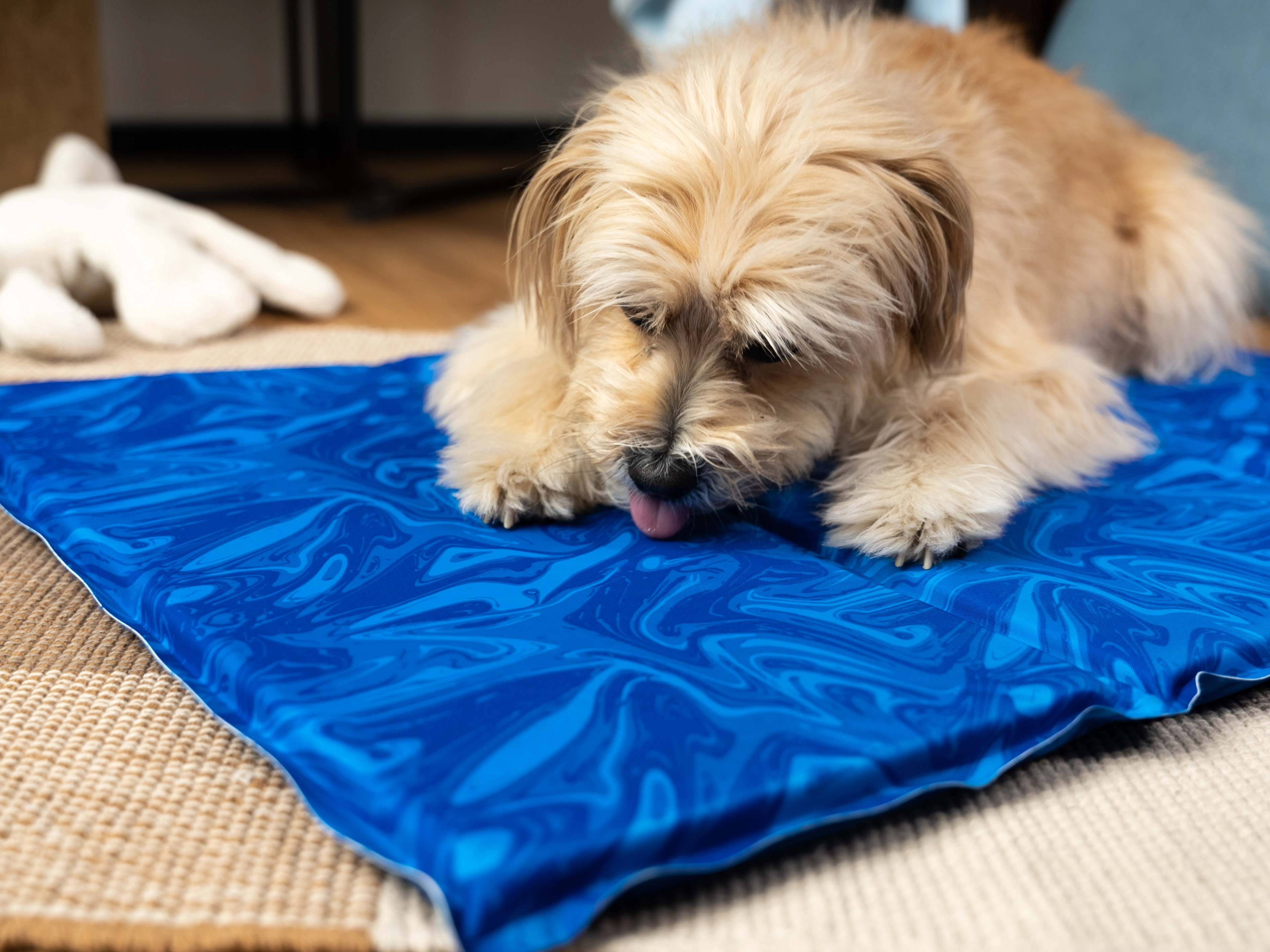 Arctic Comfort Kuehlmatte von TrendPet