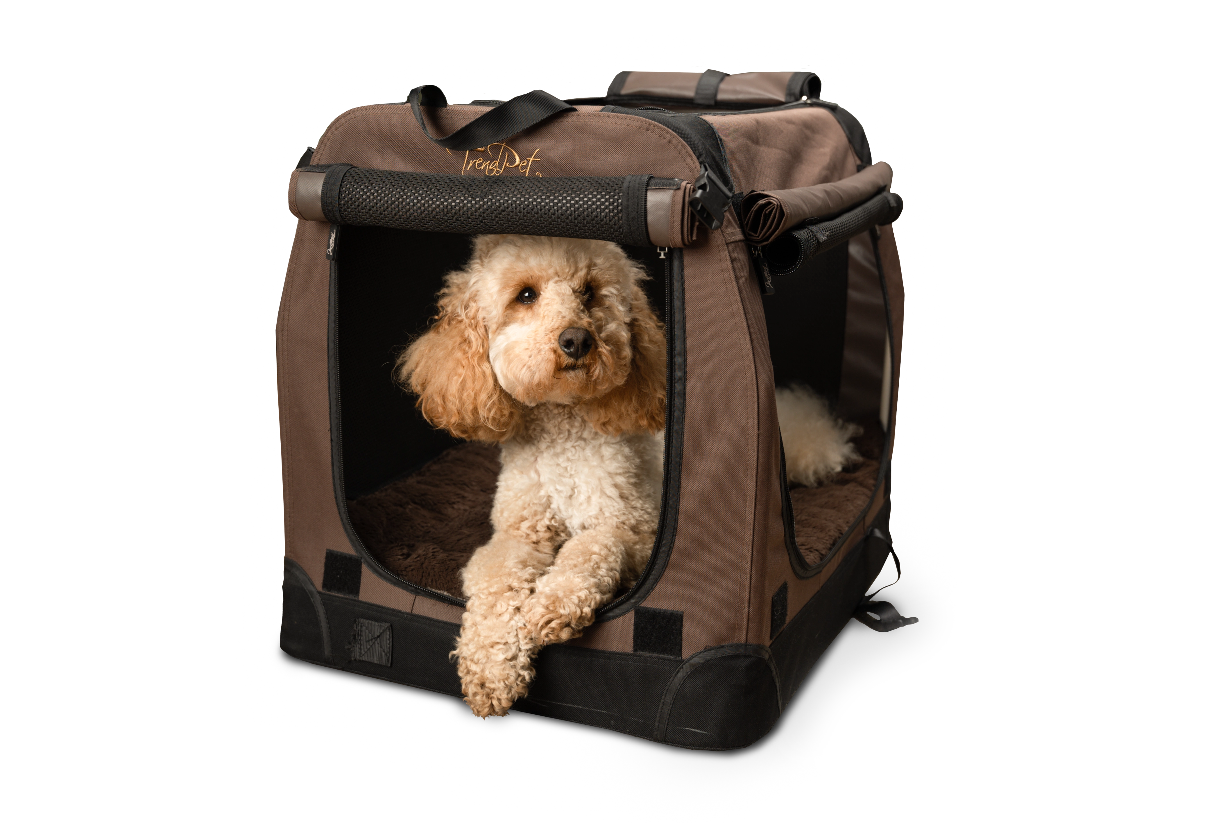 TPX-Hundebox von TrendPet