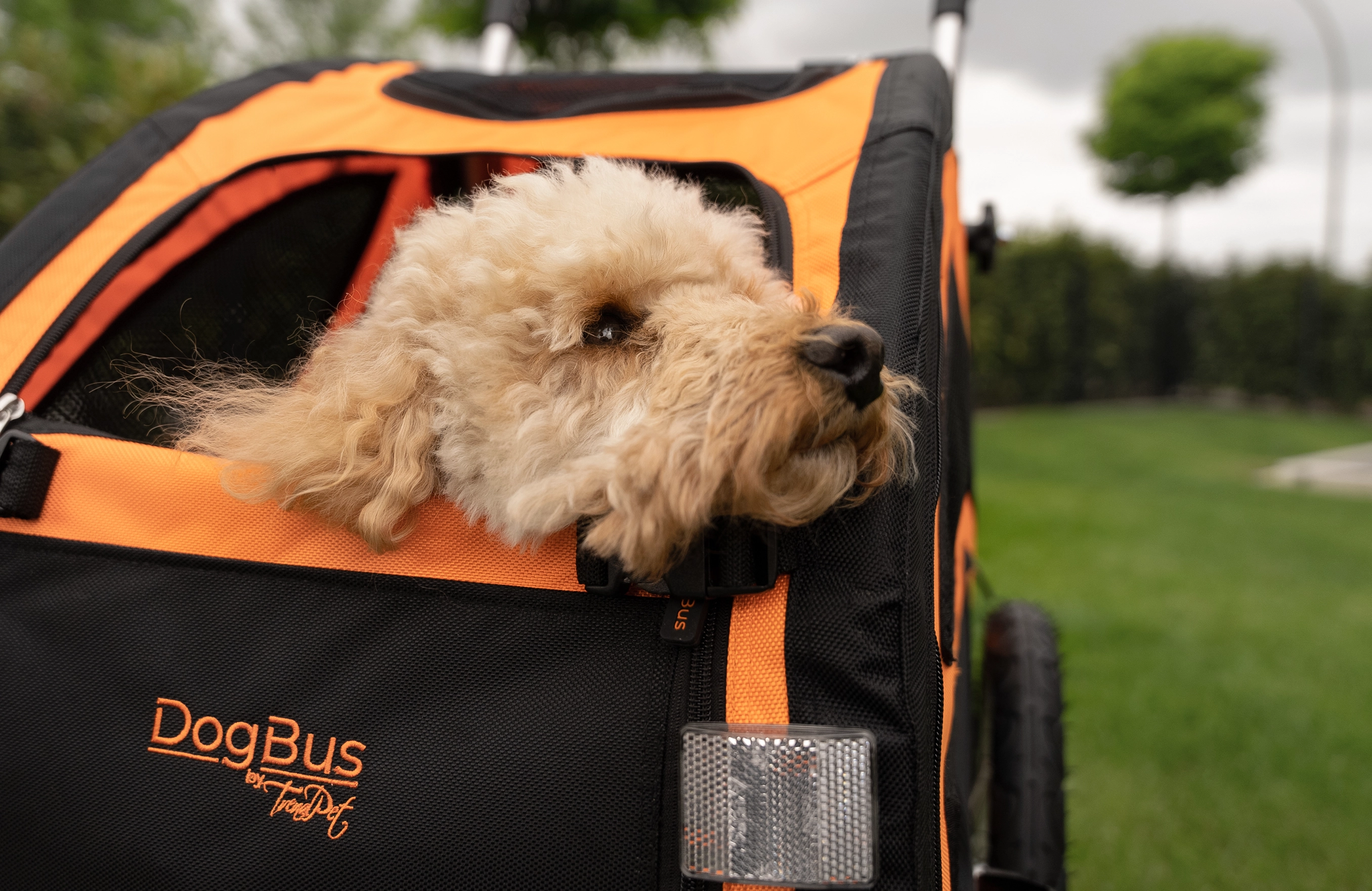 DogBus Fahrradanhänger von TrendPet