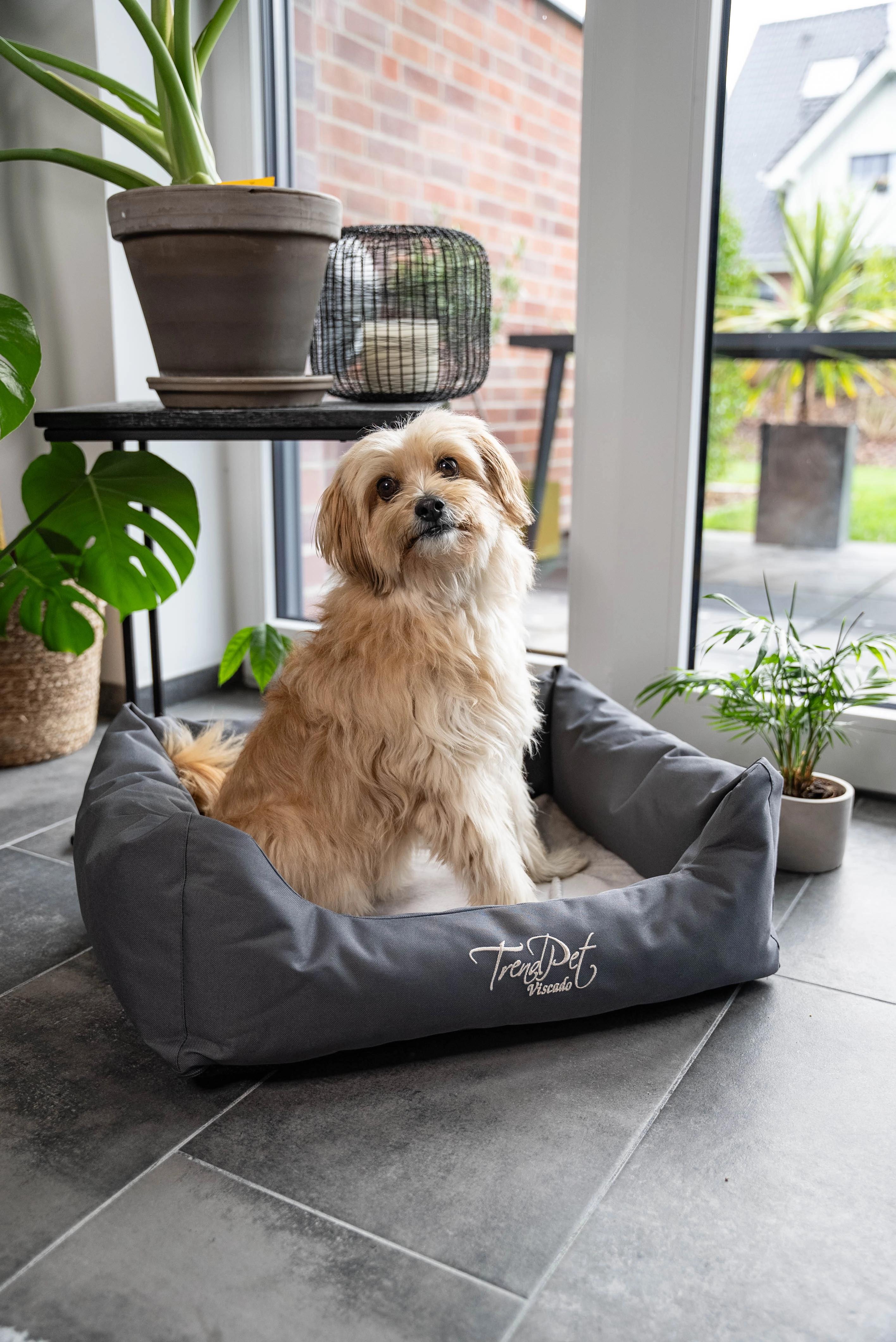 Hundebett Viscado von TrendPet