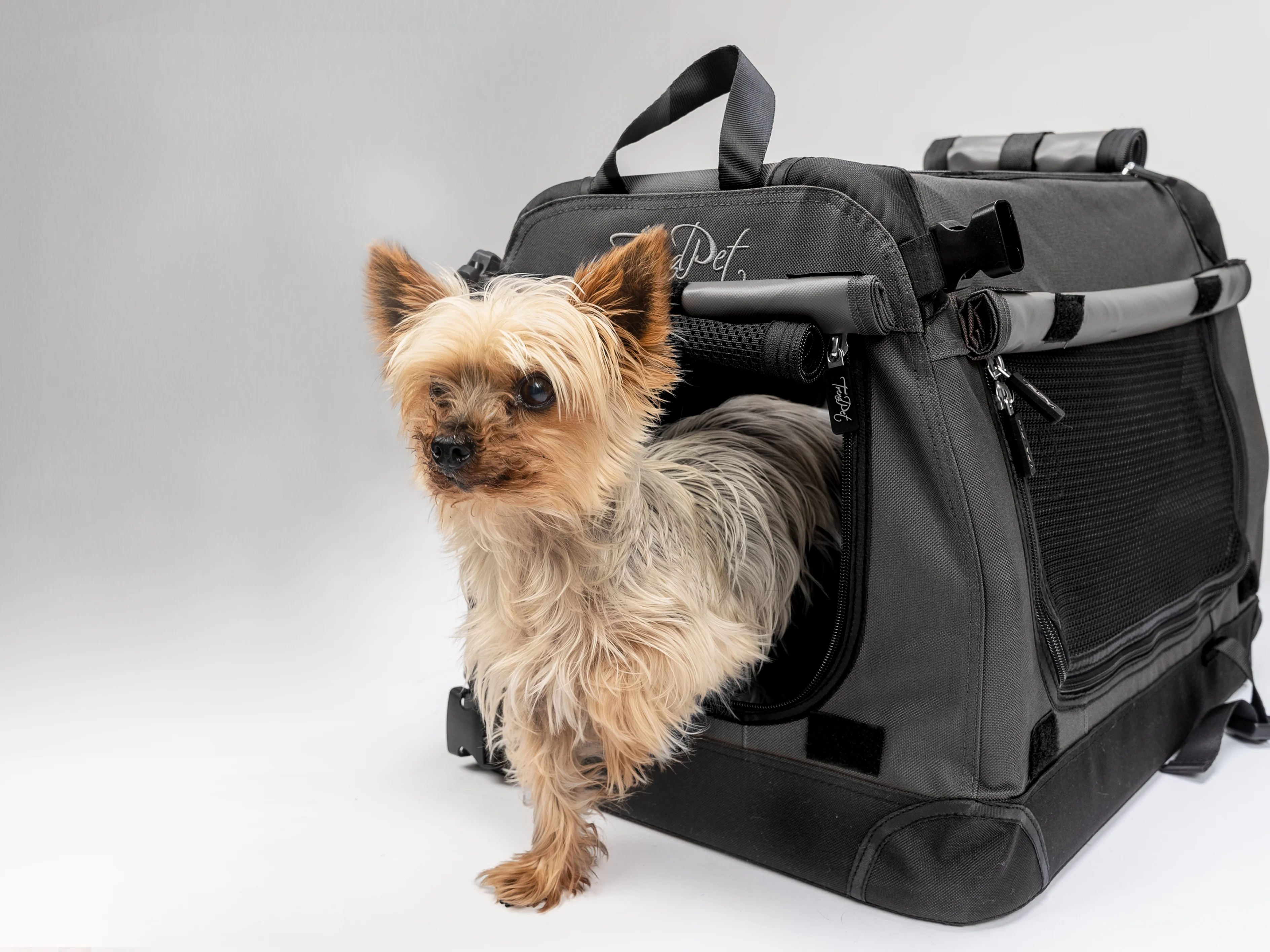 TPX-Hundebox von TrendPet