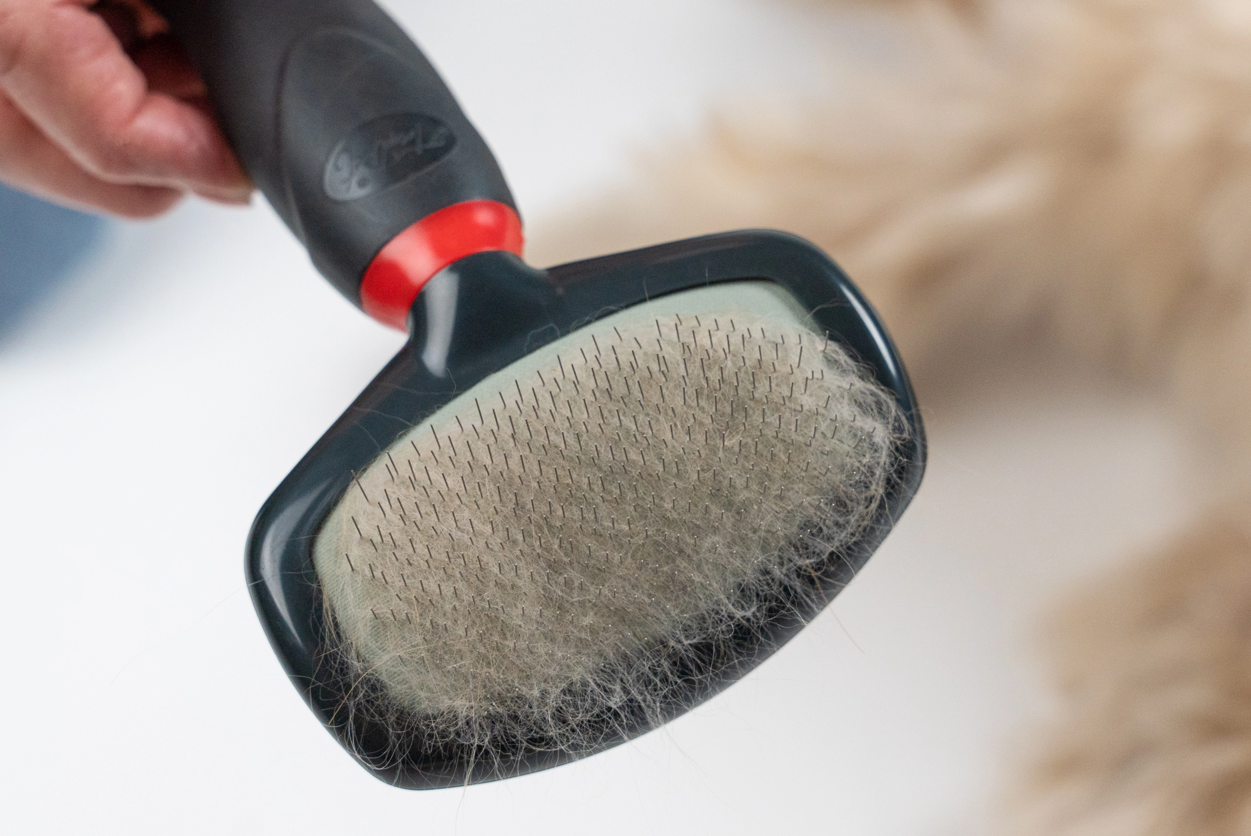 TrendPet Hundepflege Hundebuerste