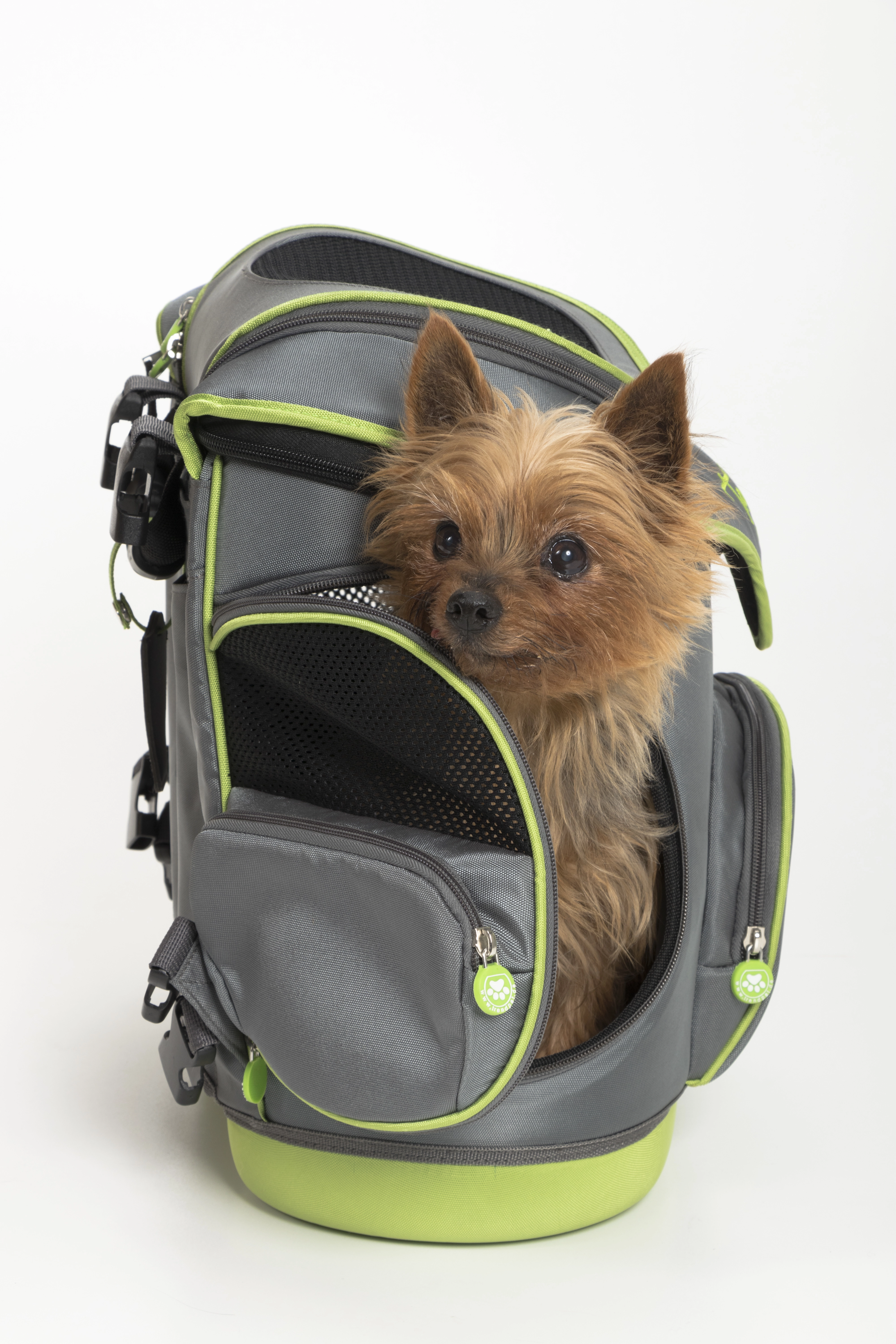 Miri Multifunktionstasche von TrendPet