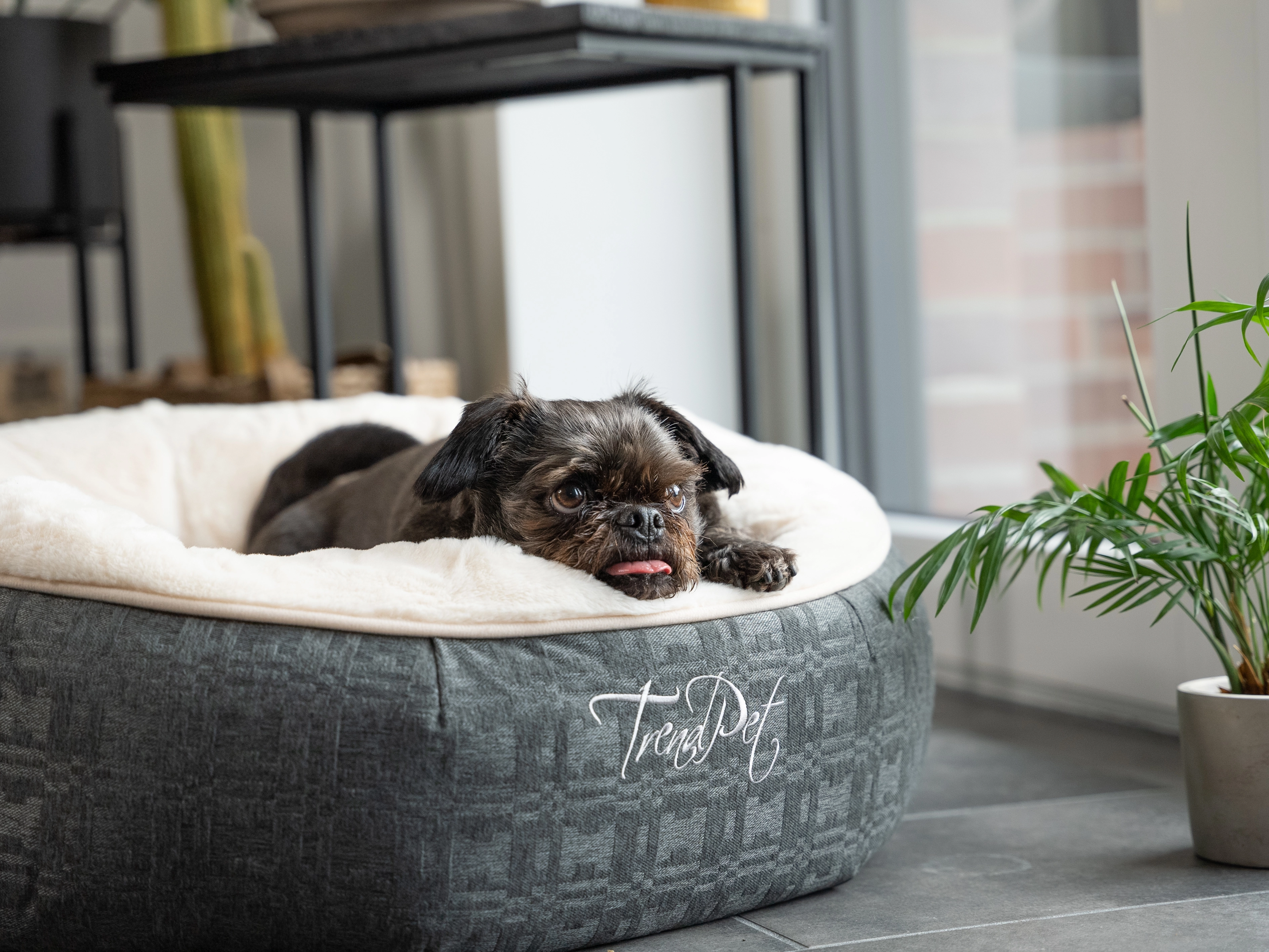 LunaBed von TrendPet