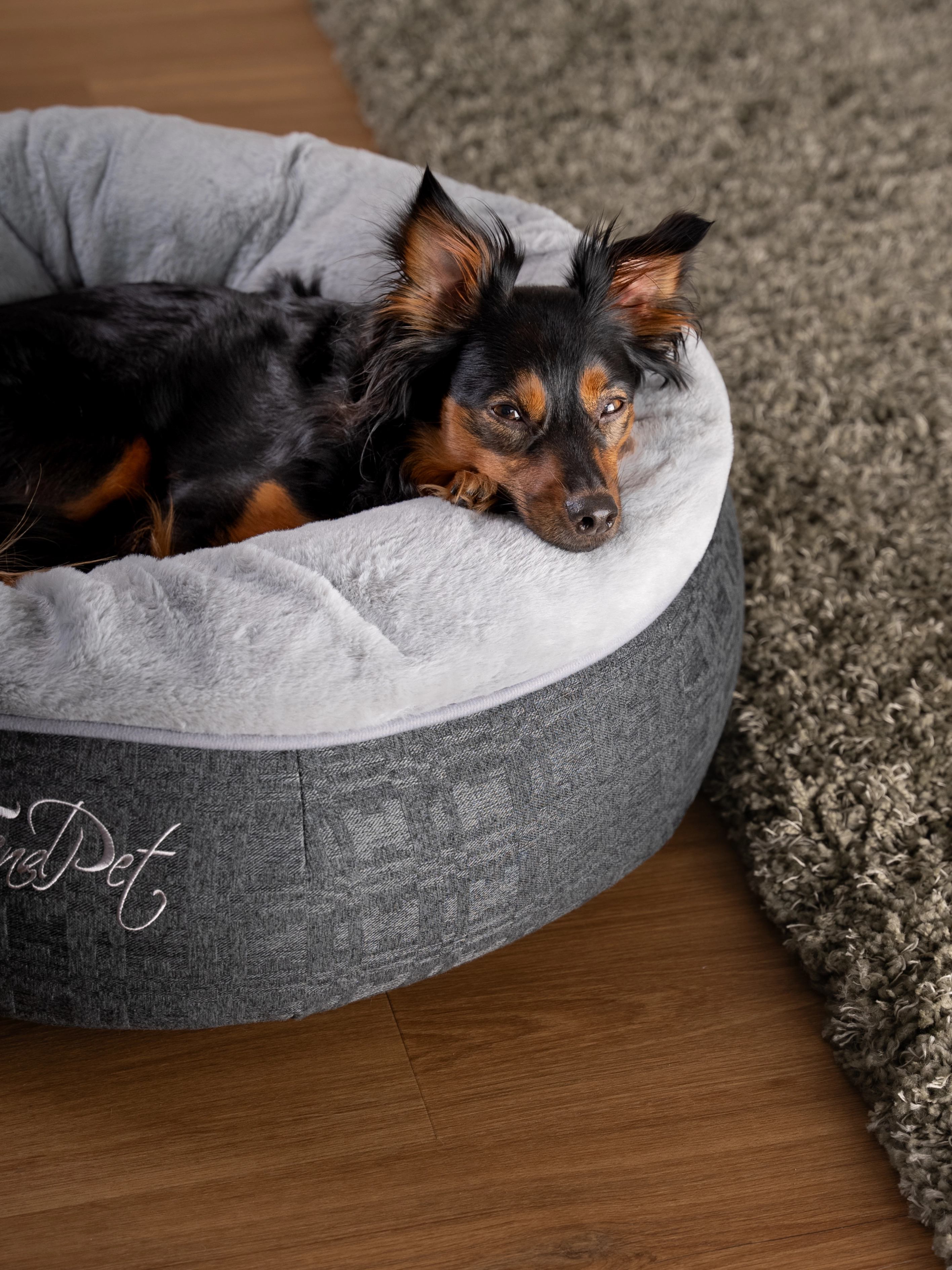 Hund liegt im LunaBed von TrendPet