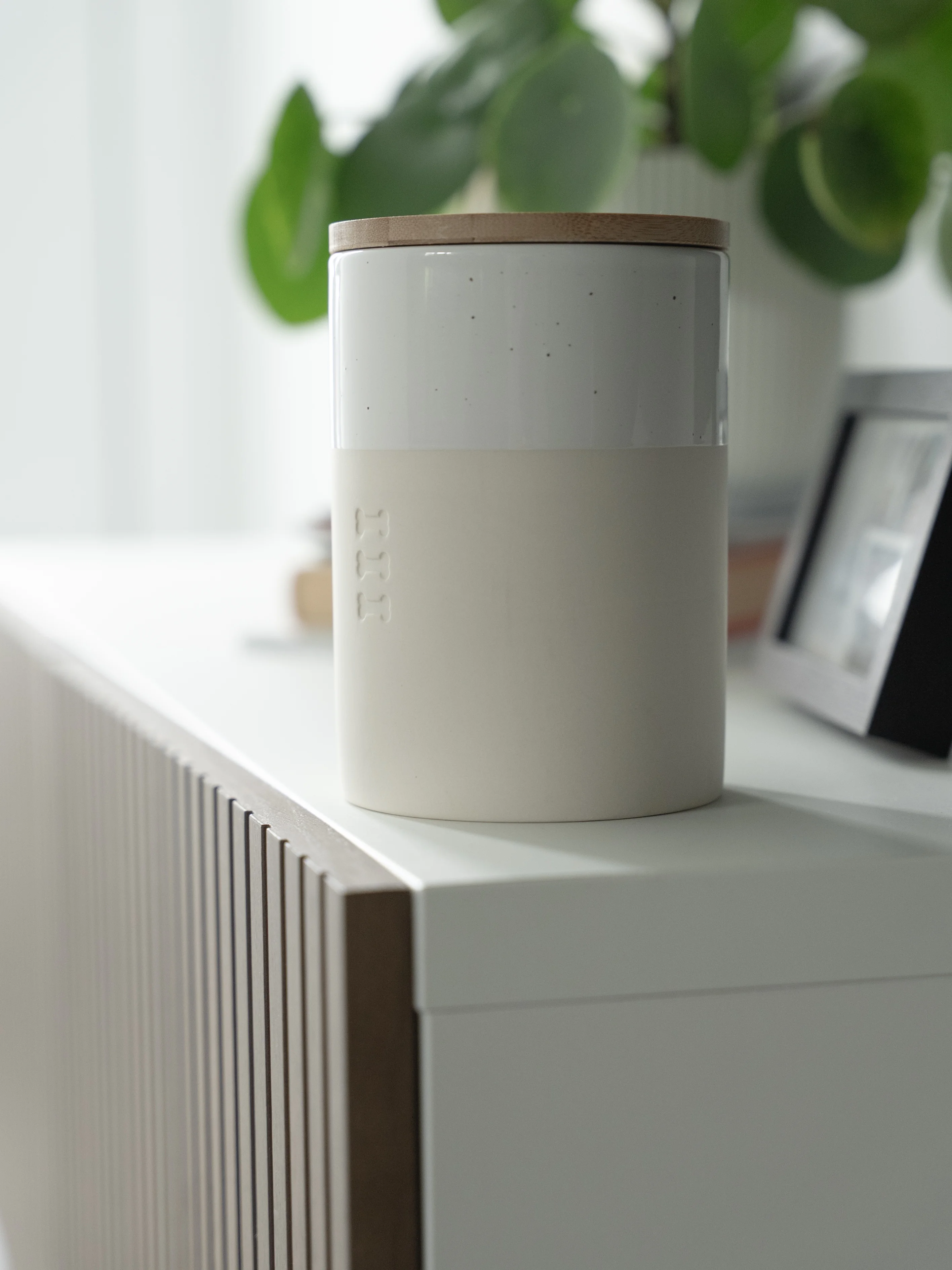 Snackdose Clay von TrendPet