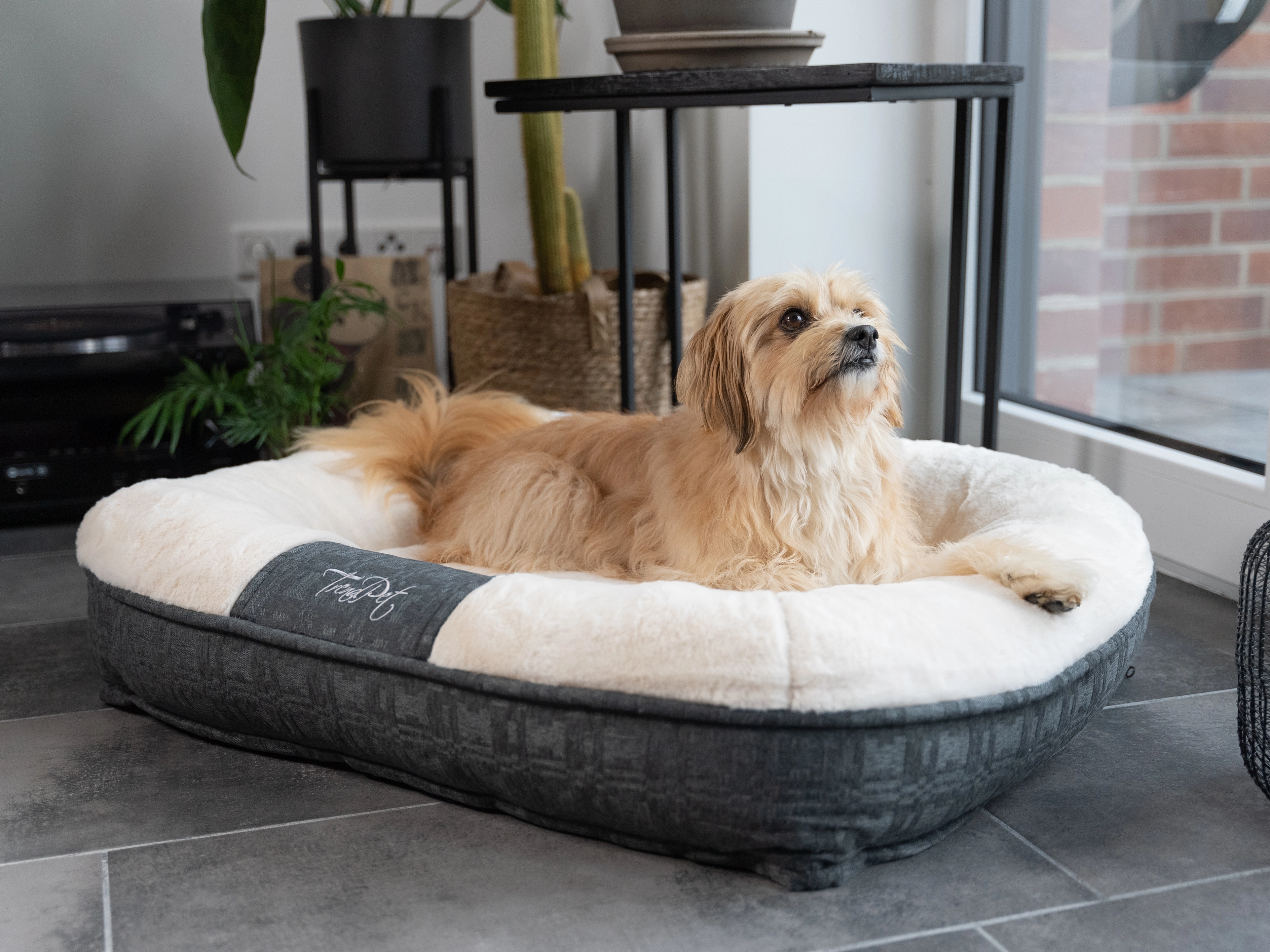 LunaLounge von TrendPet