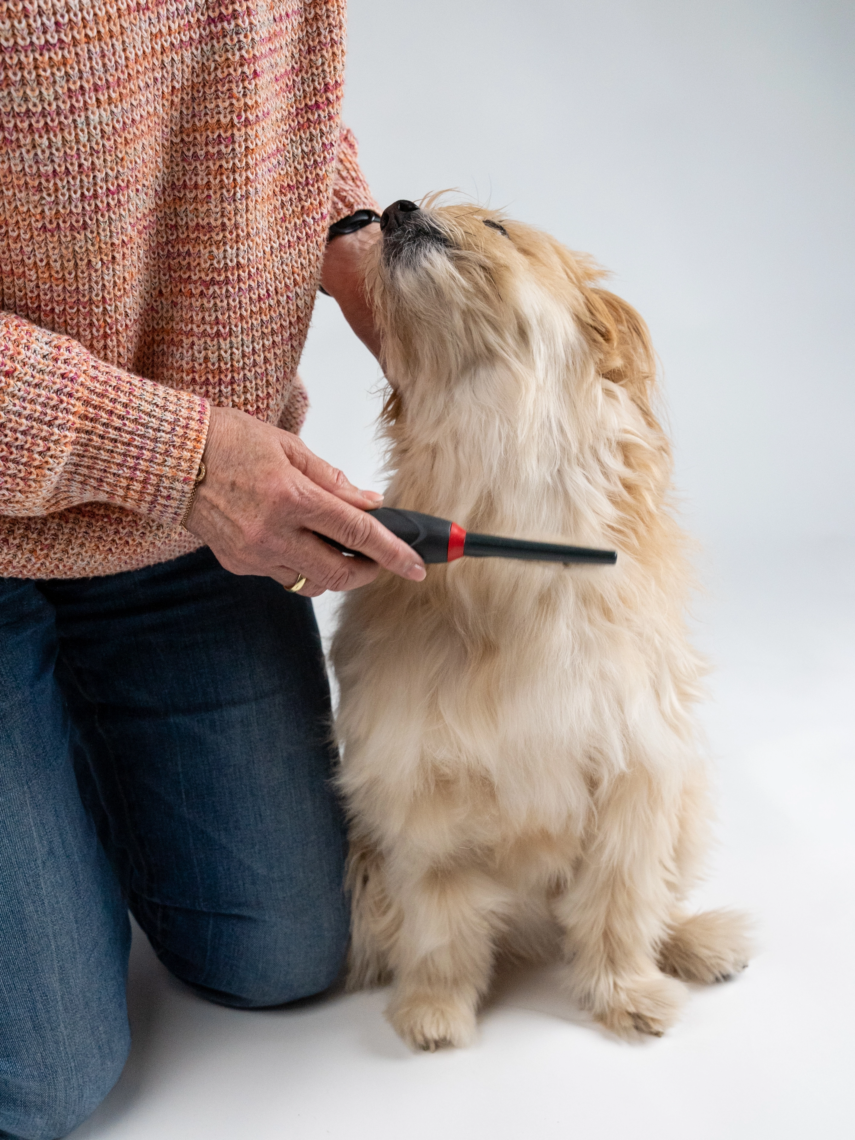 TrendPet Hundepflege Hundebuerste