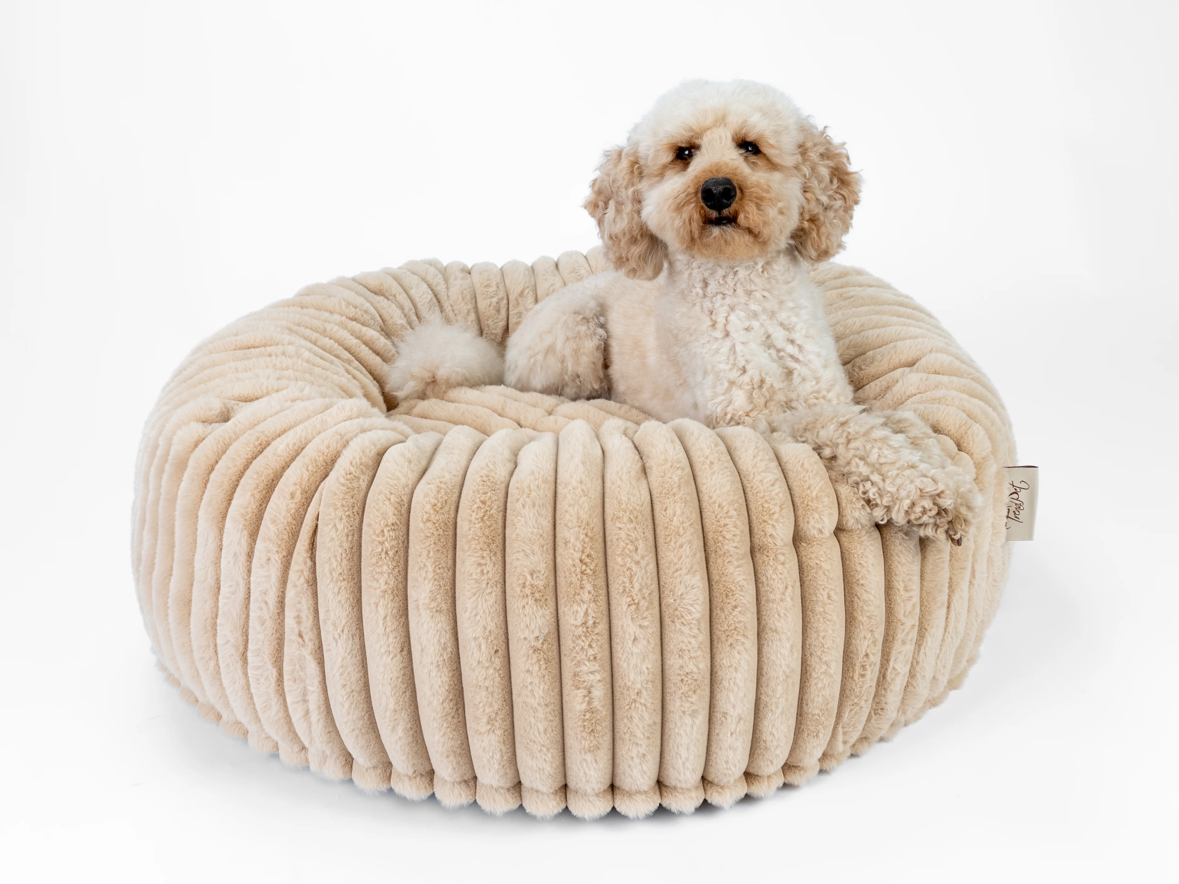 Biscuit Spot von TrendPet