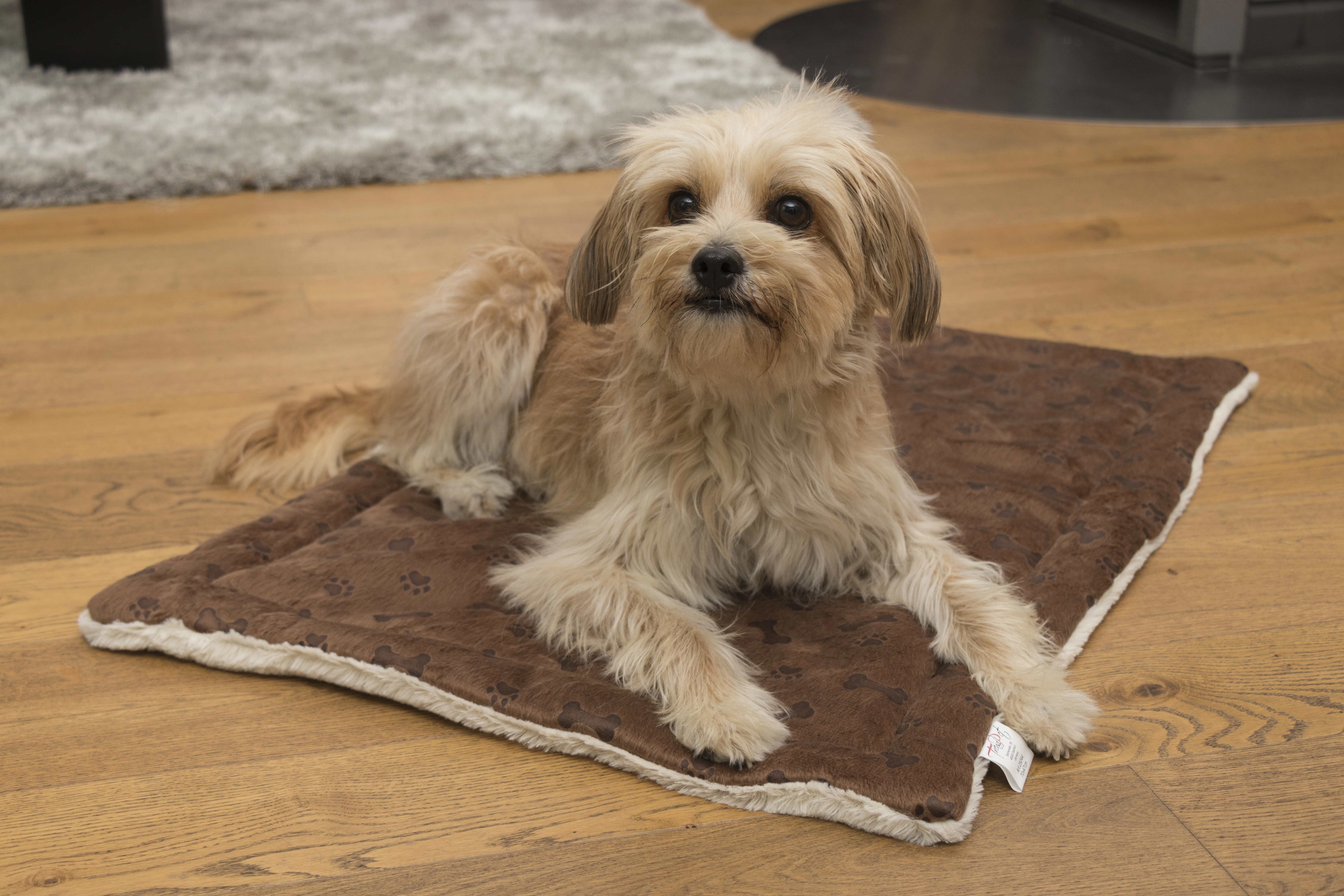 Relaxdecke von TrendPet fuer Hunde