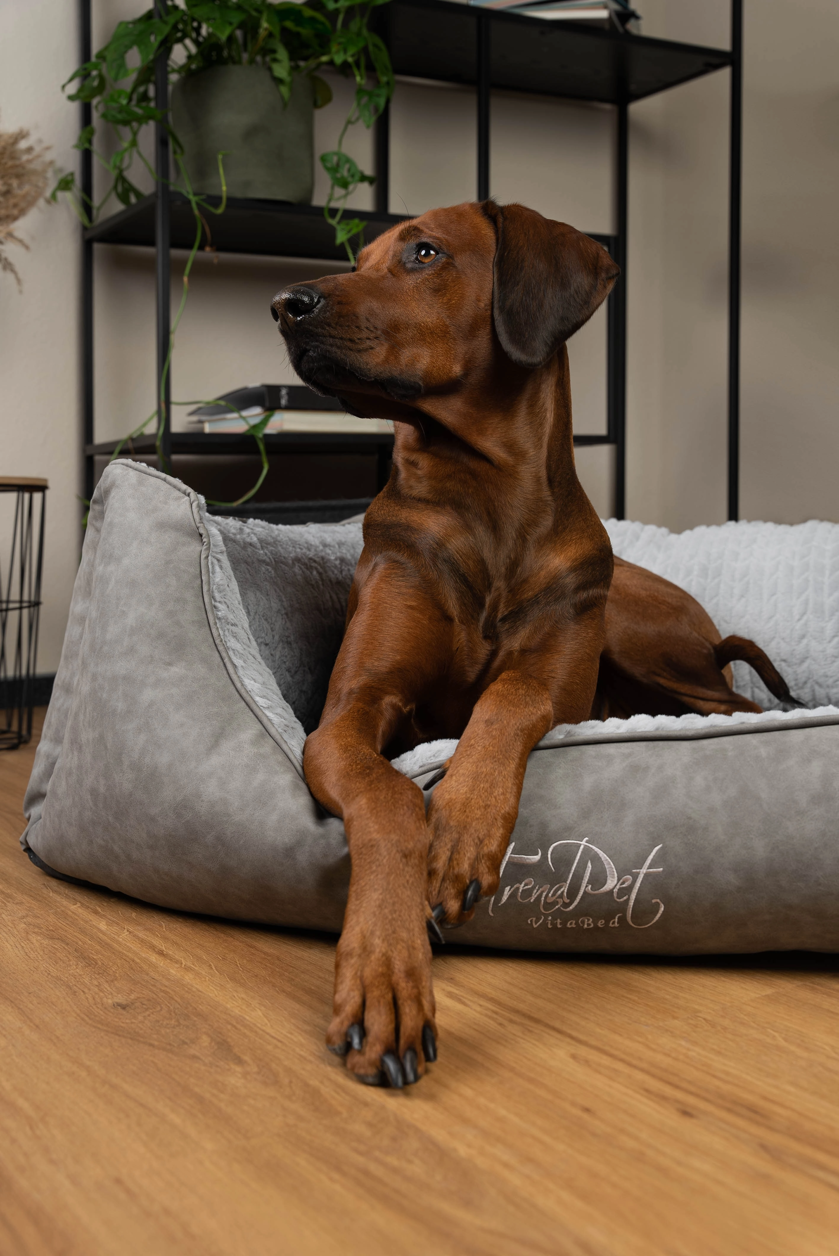 Hundebett VitaBed Style von TrendPet