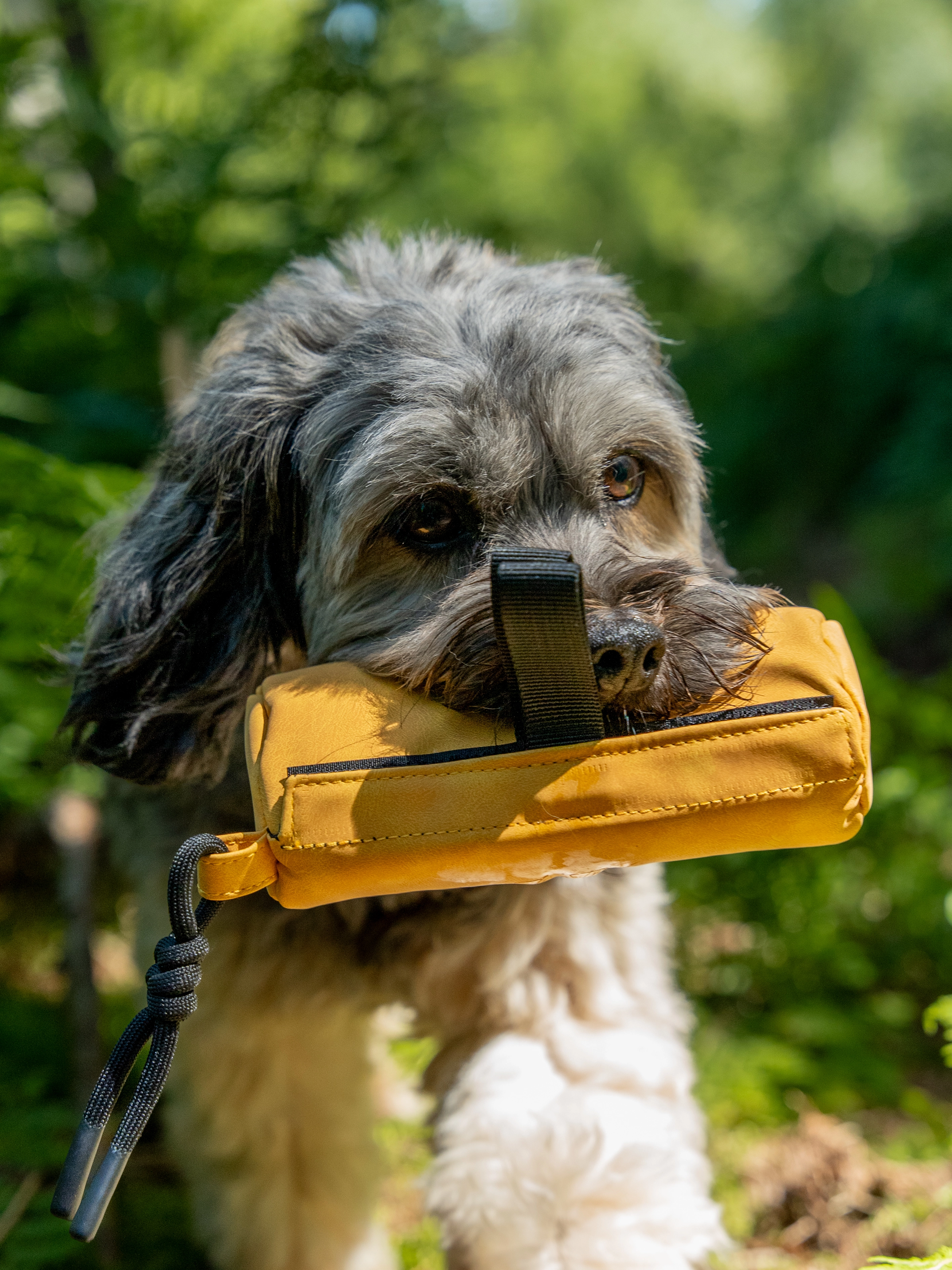 Futterdummy Kurt von TrendPet