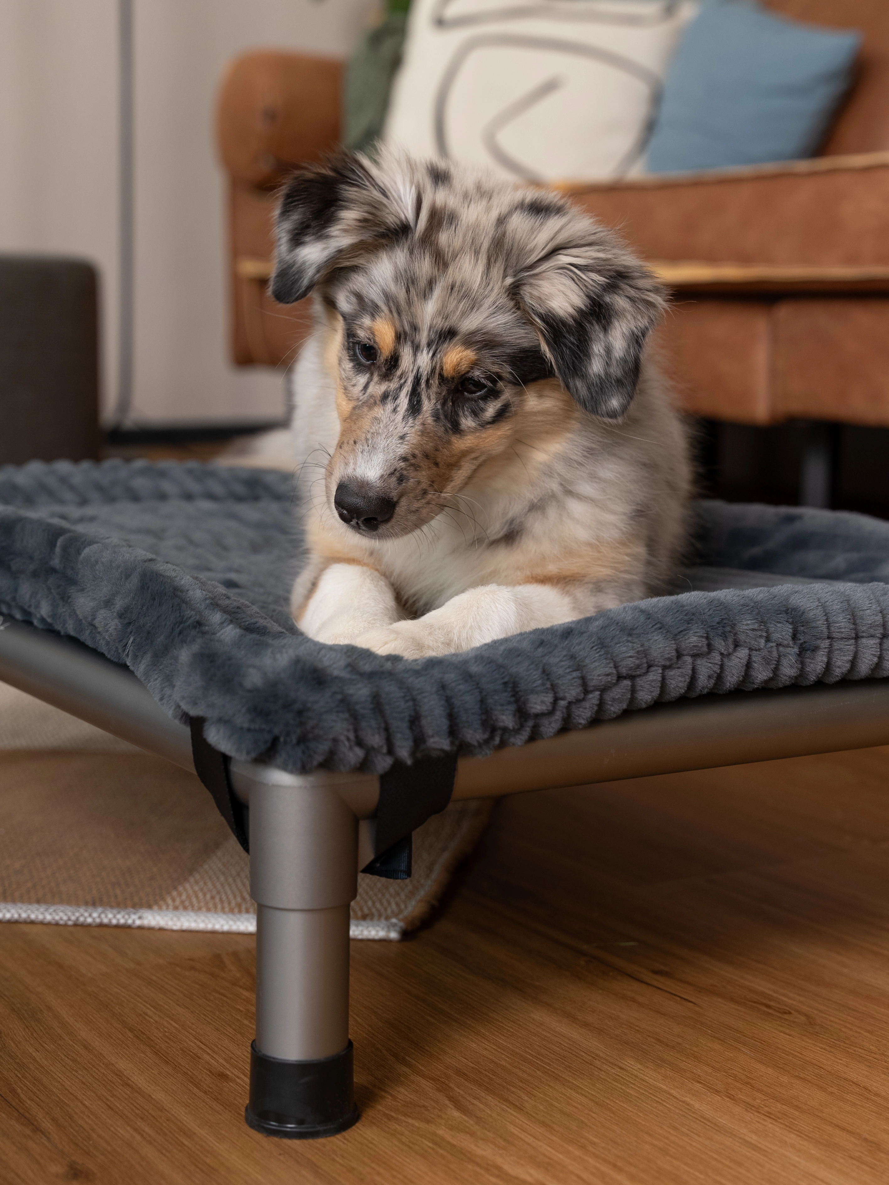 Harmony kuschelige Wendedecke passend zum HighBed von TrendPet für Hunde