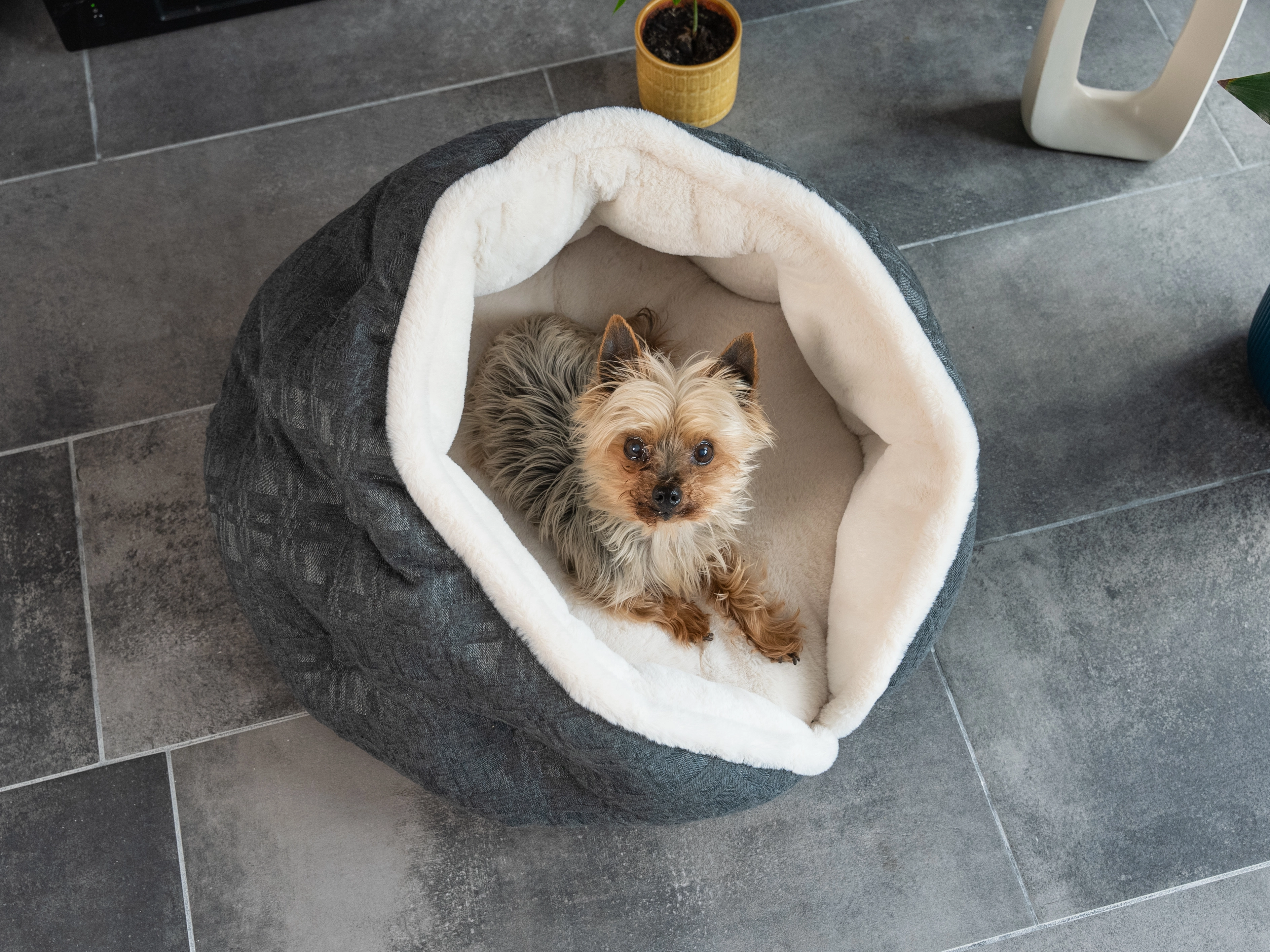 LunaNest von TrendPet