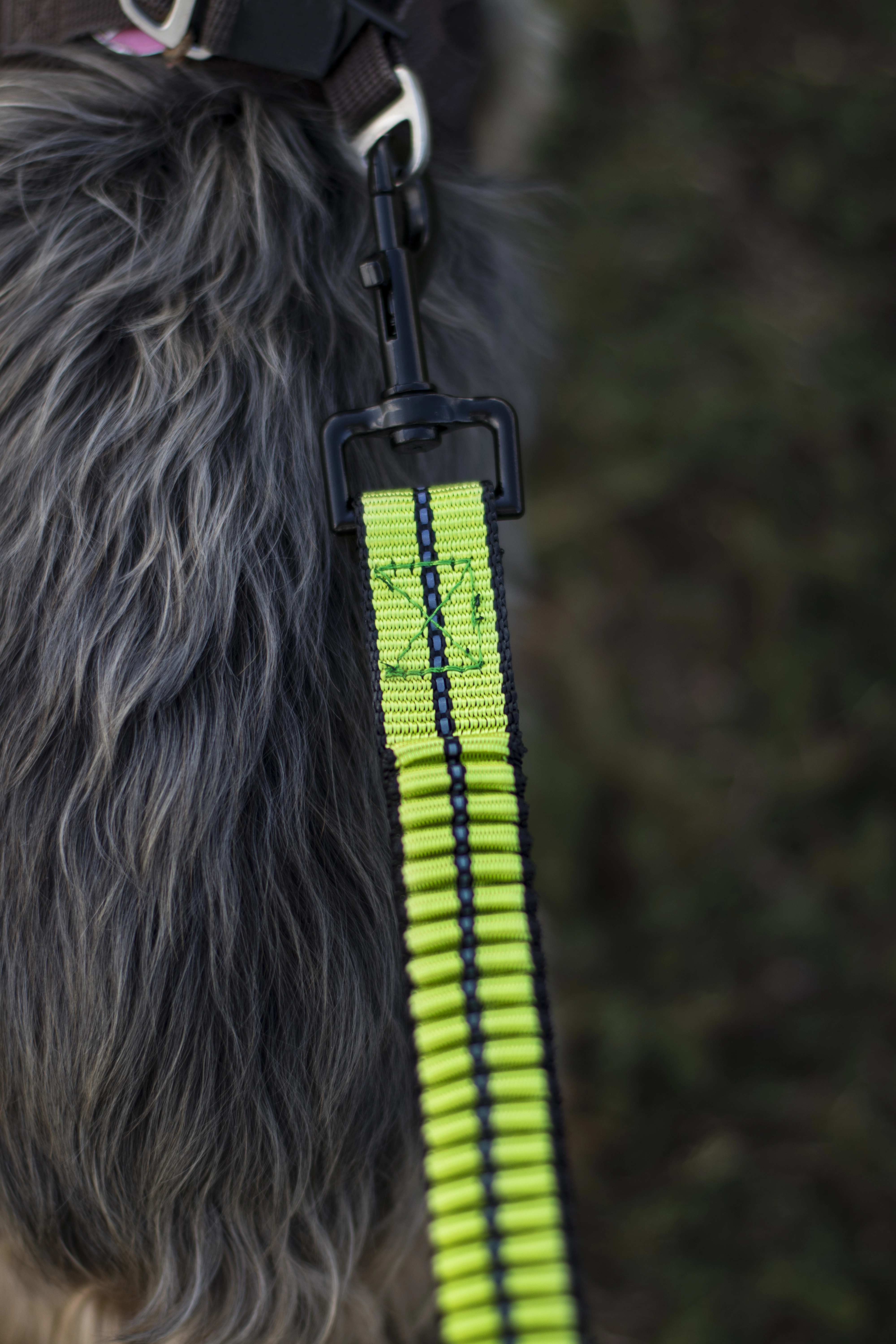 Cascado Hundeleine von TrendPet