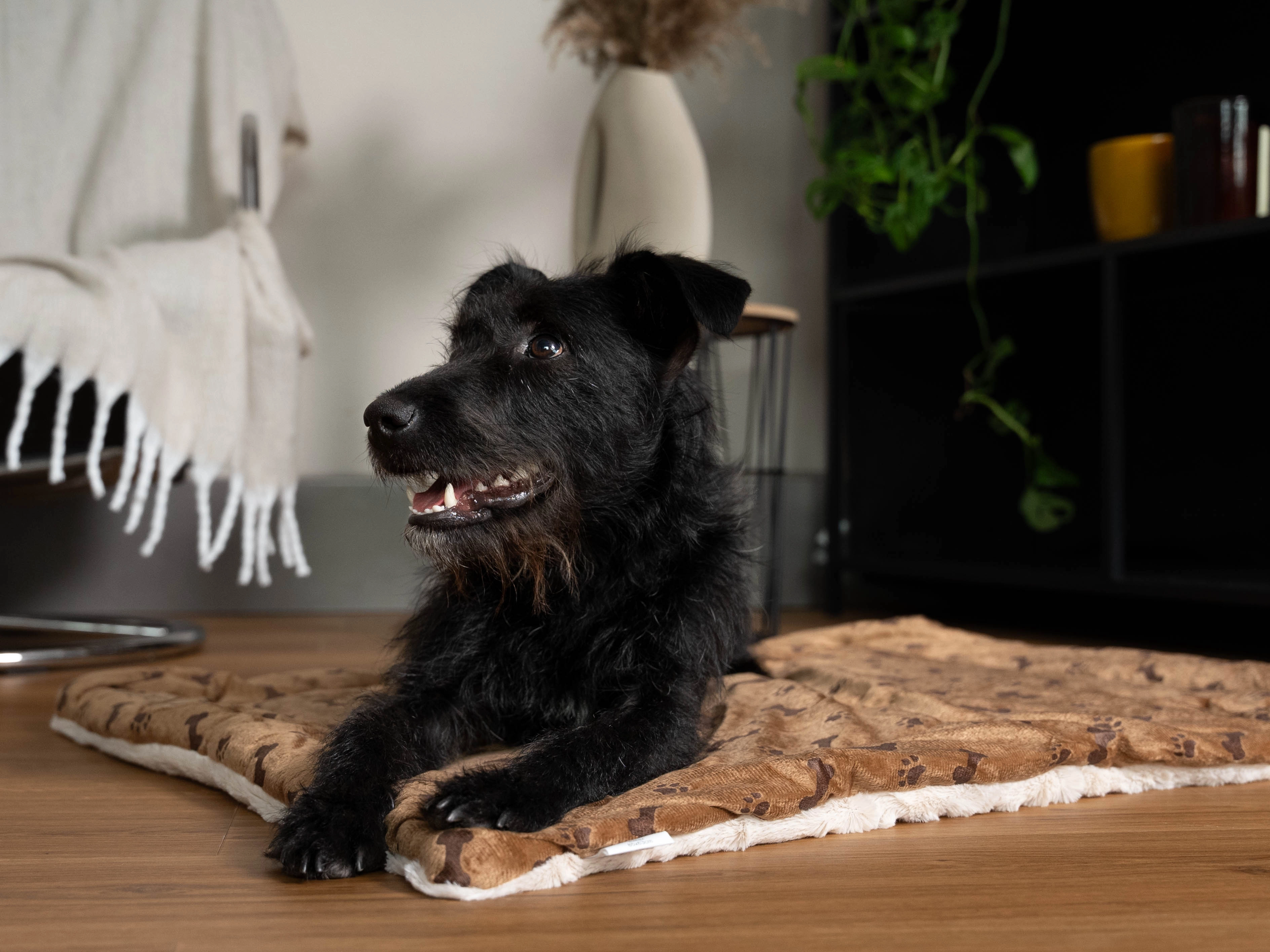 Relax Wendedecke TrendPet