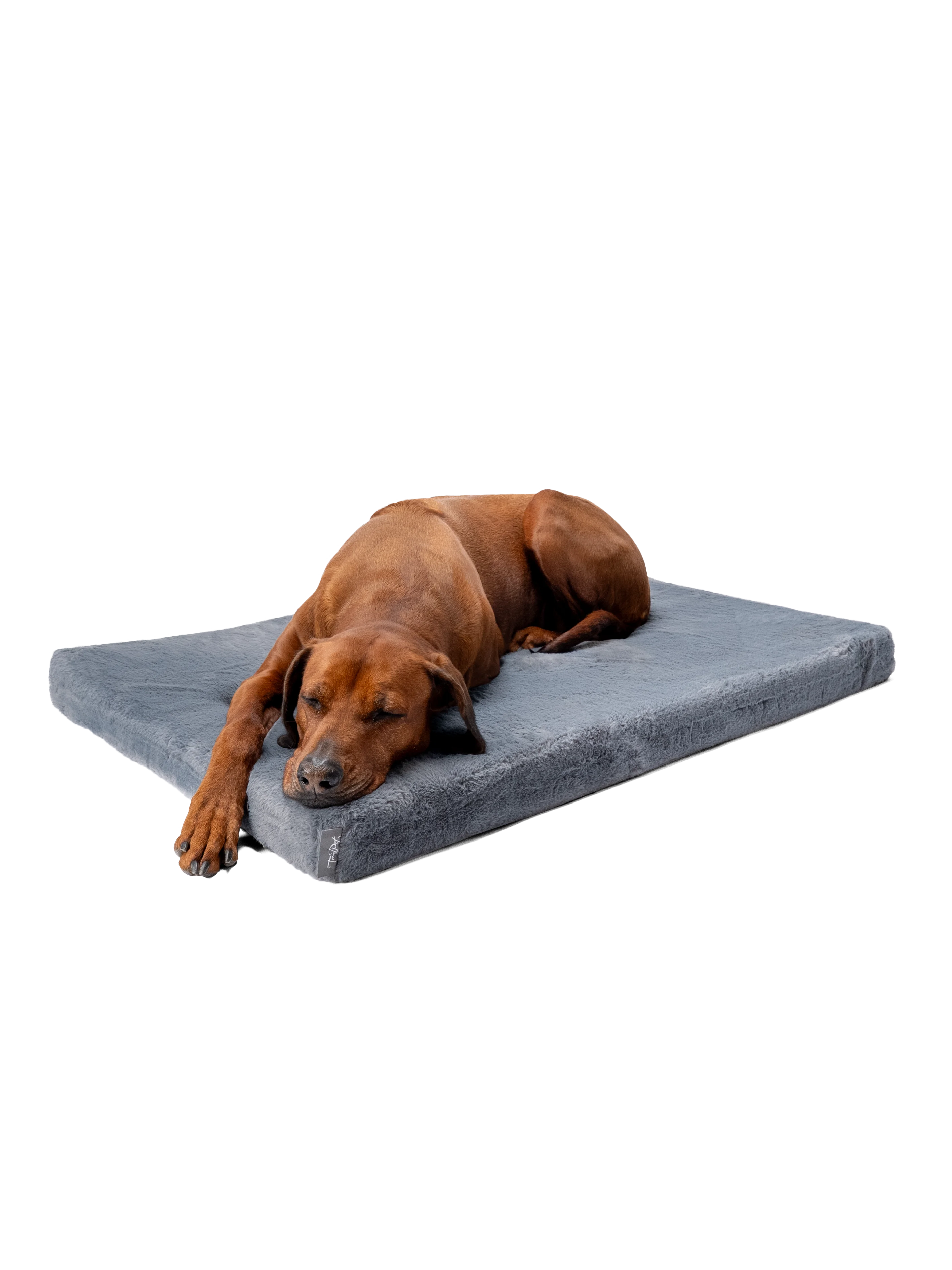 VitaMedog - 7 cm 
