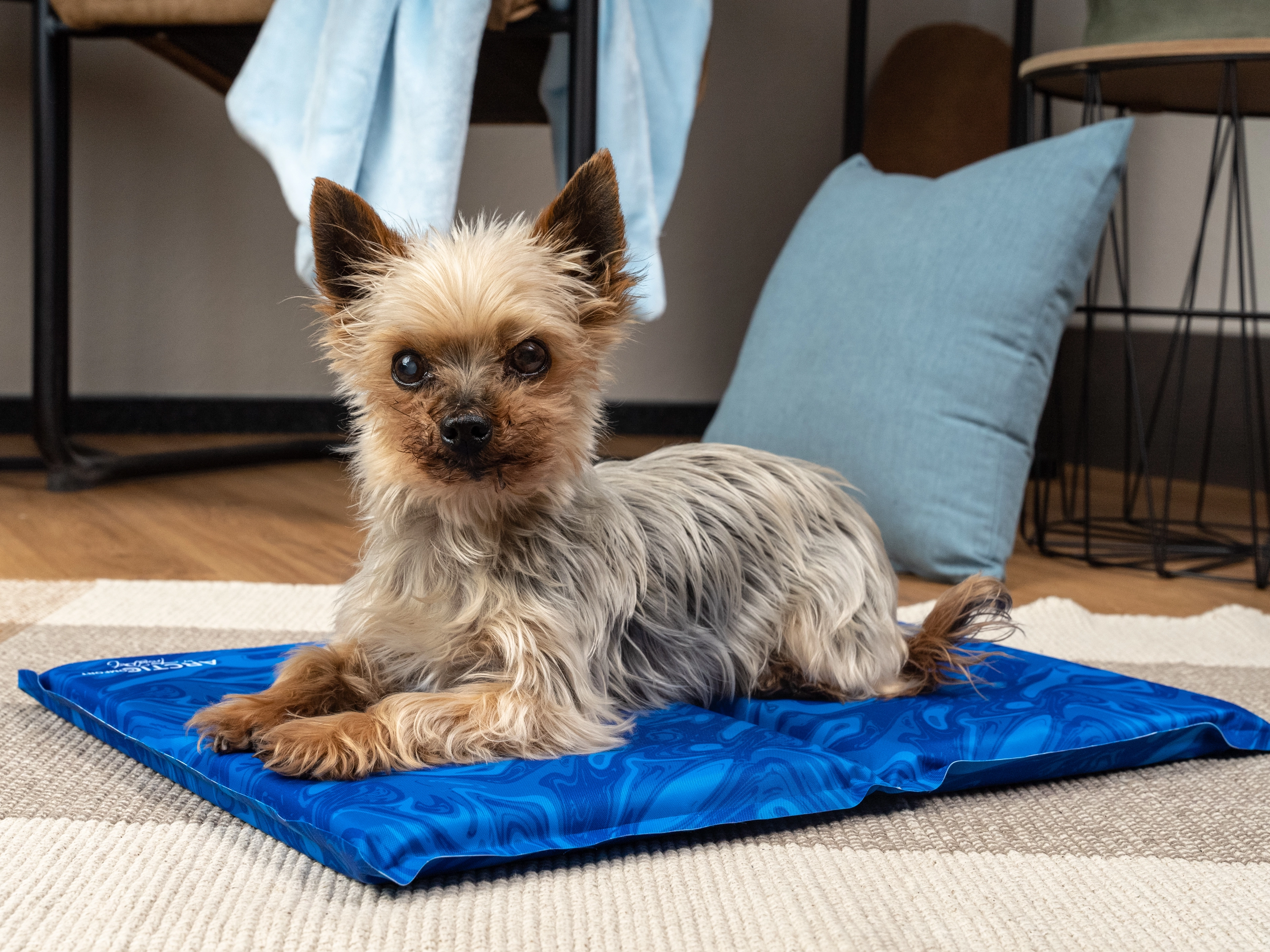 Arctic Comfort Kuehlmatte von TrendPet