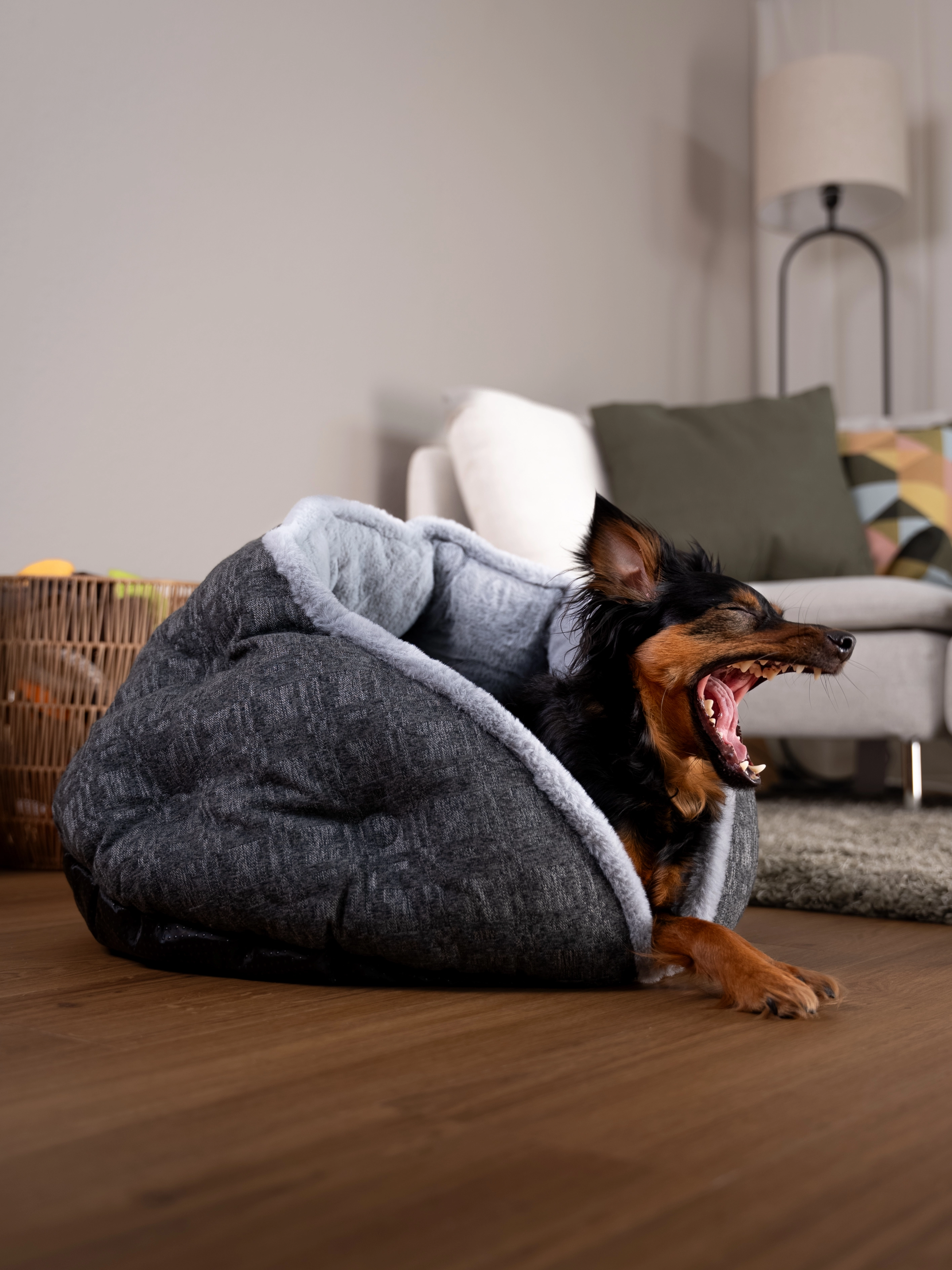 Hund liegt im LunaNest