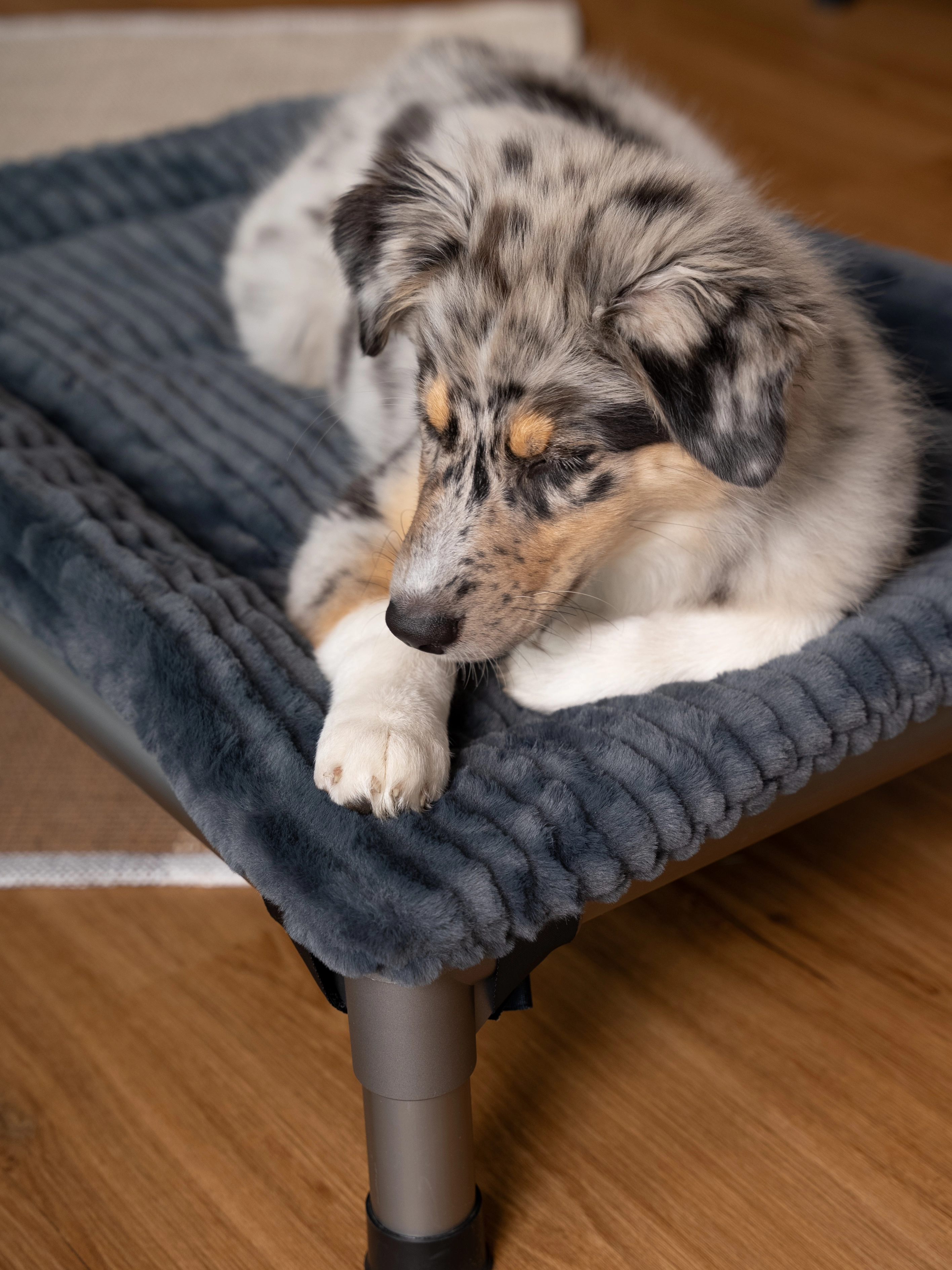 Harmony kuschelige Wendedecke passend zum HighBed von TrendPet für Hunde