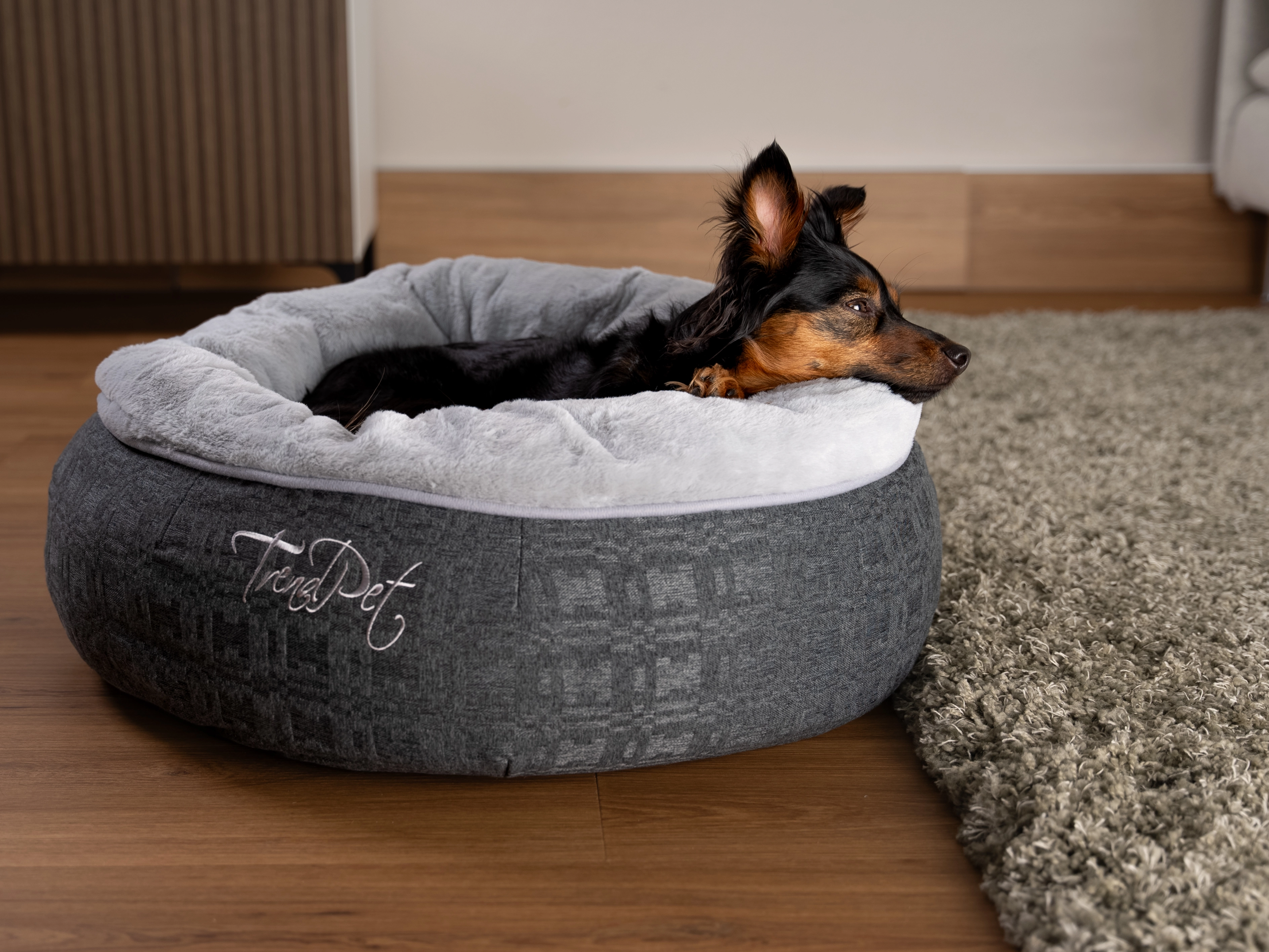 Hund liegt im LunaBed von TrendPet