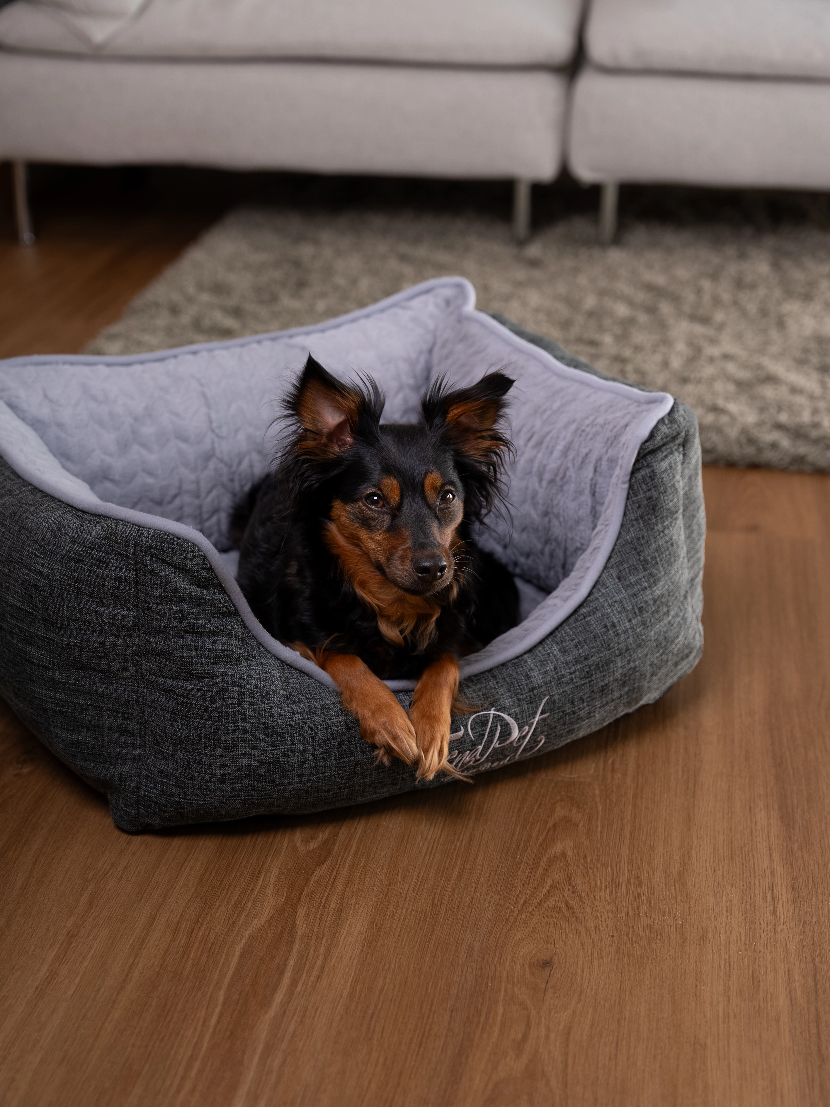 Hund liegt im VitaBed classic von TrendPet