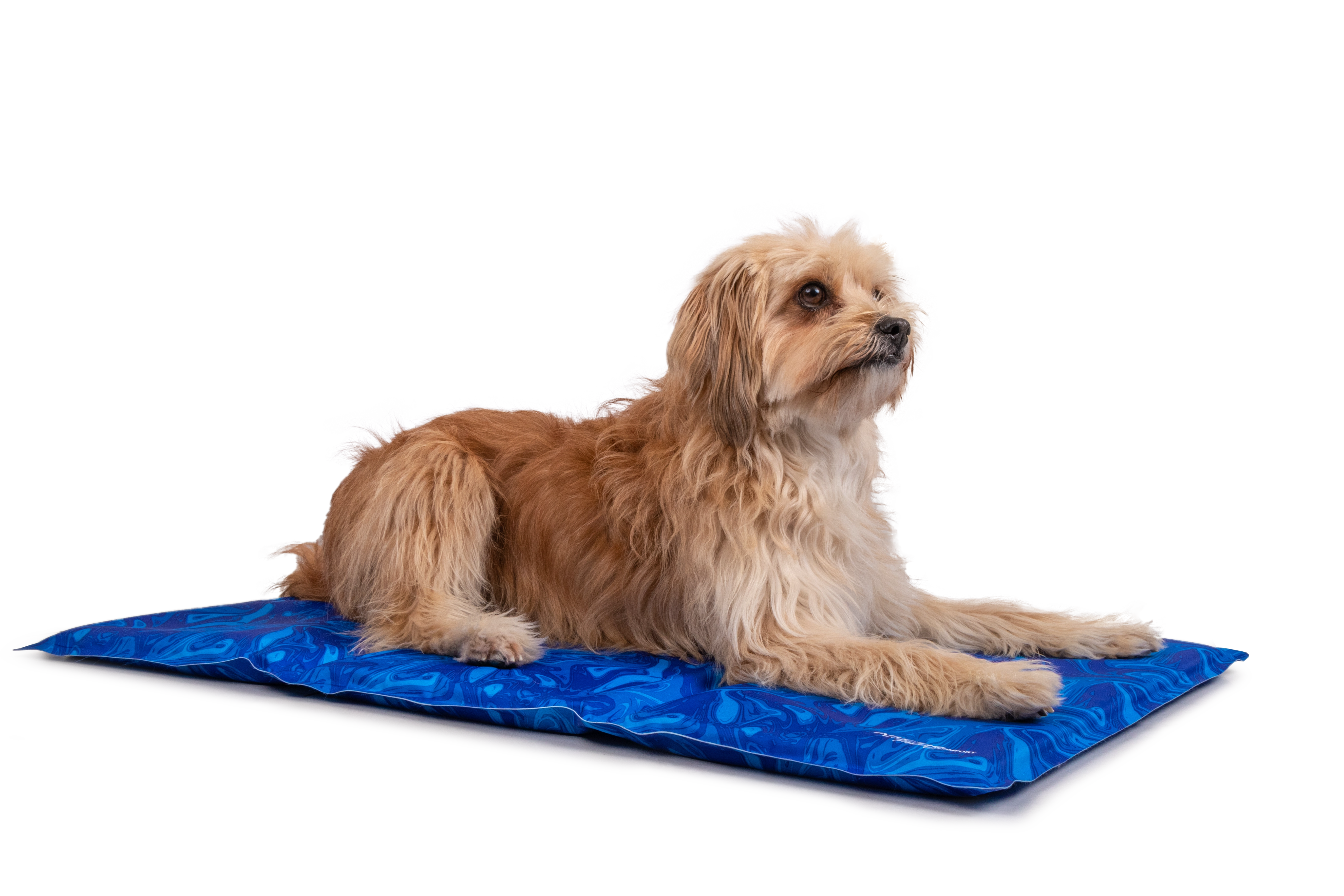 Arctic Comfort Kuehlmatte von TrendPet