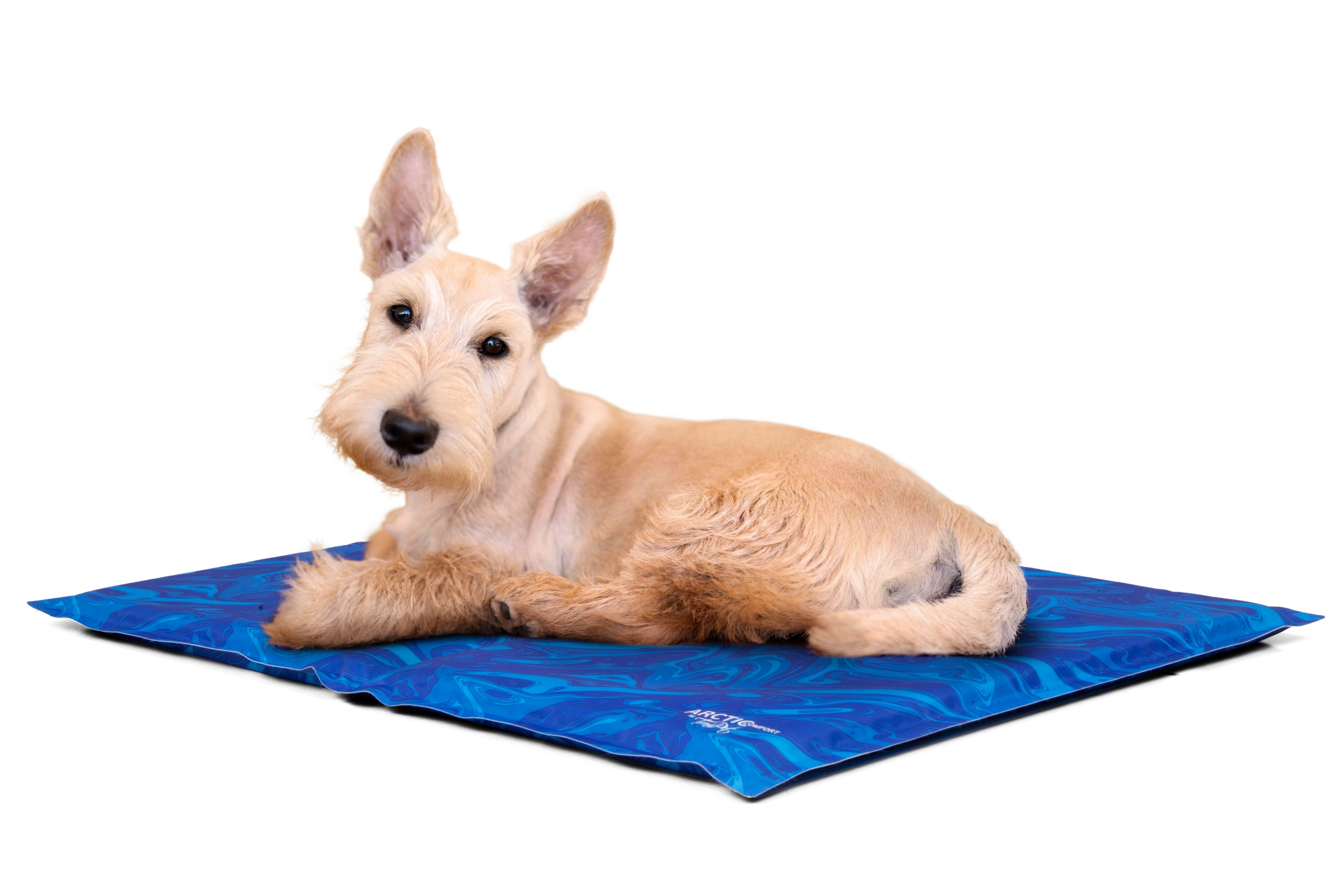 Arctic Comfort Kuehlmatte von TrendPet