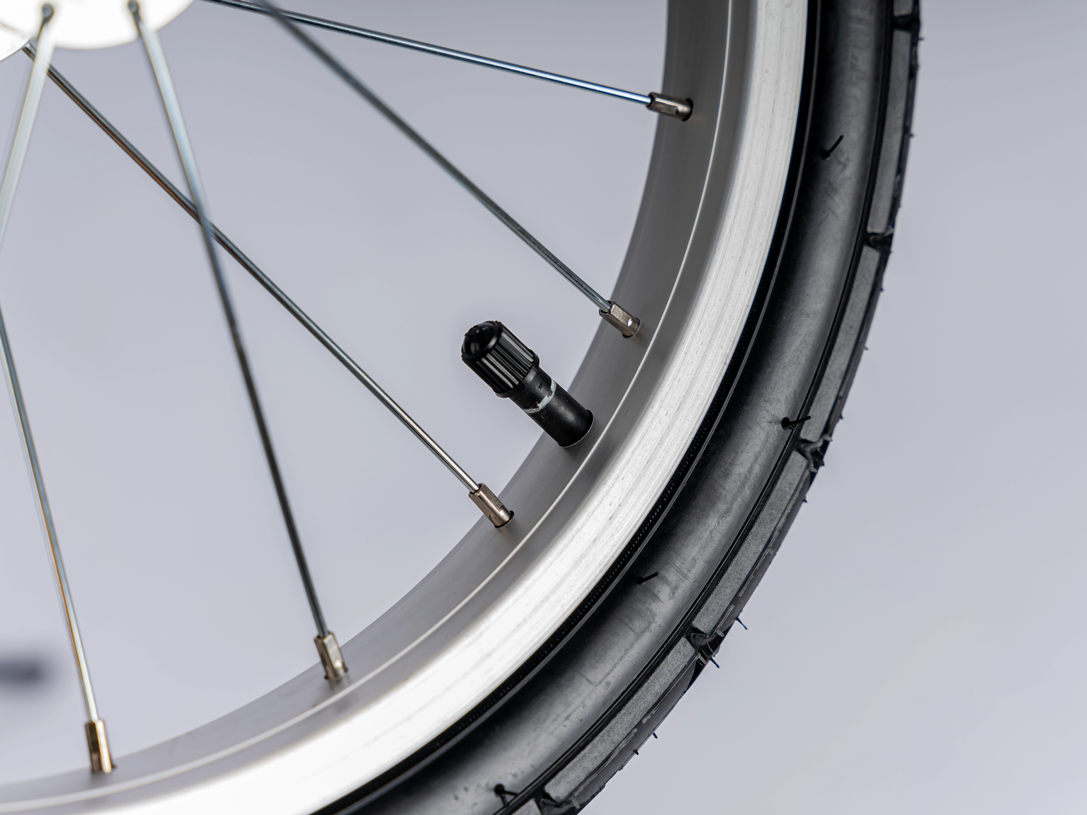 Ersatzrad DogBus Hundeanhänger von TrendPet