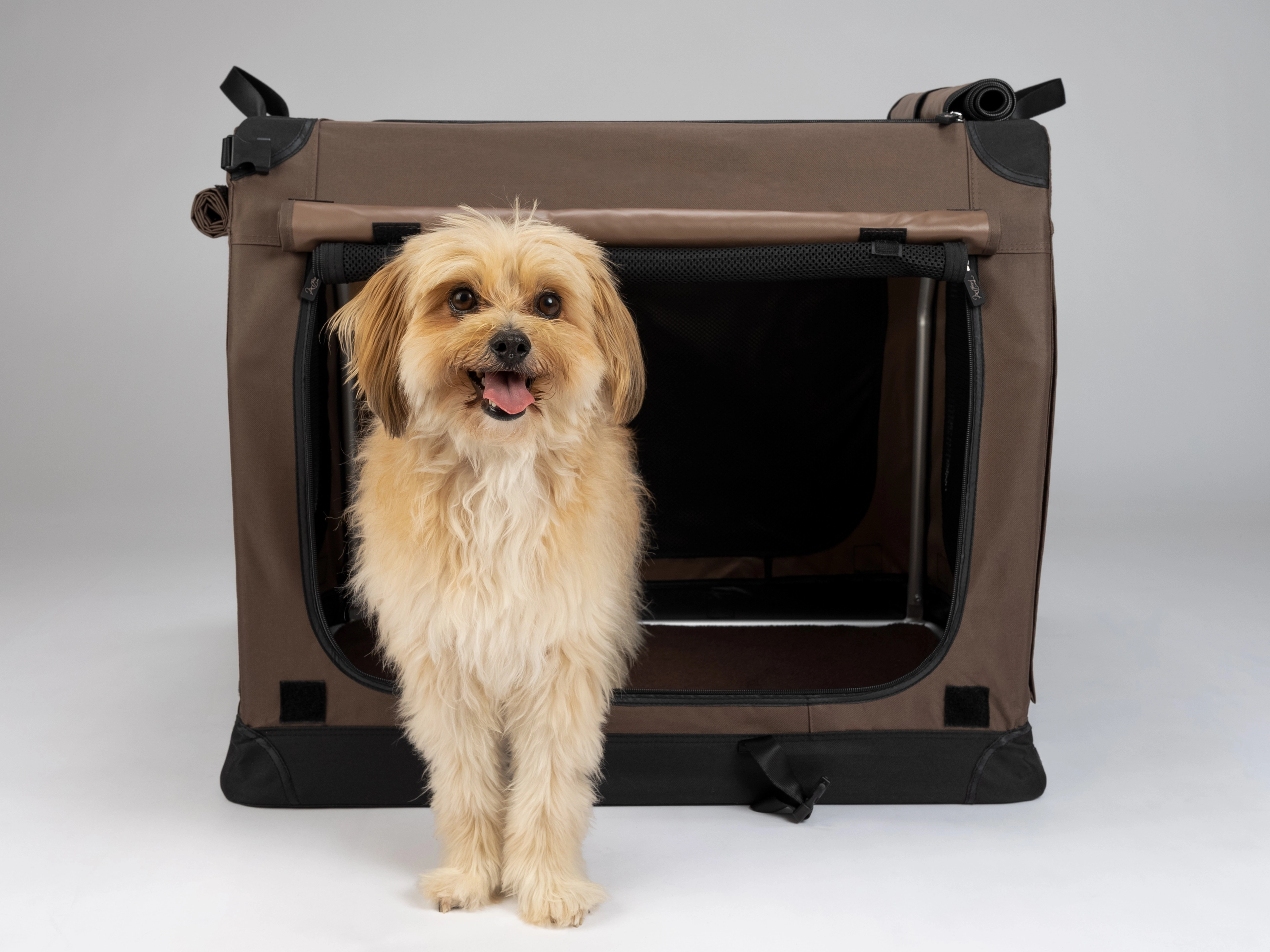 TPX-Hundebox von TrendPet