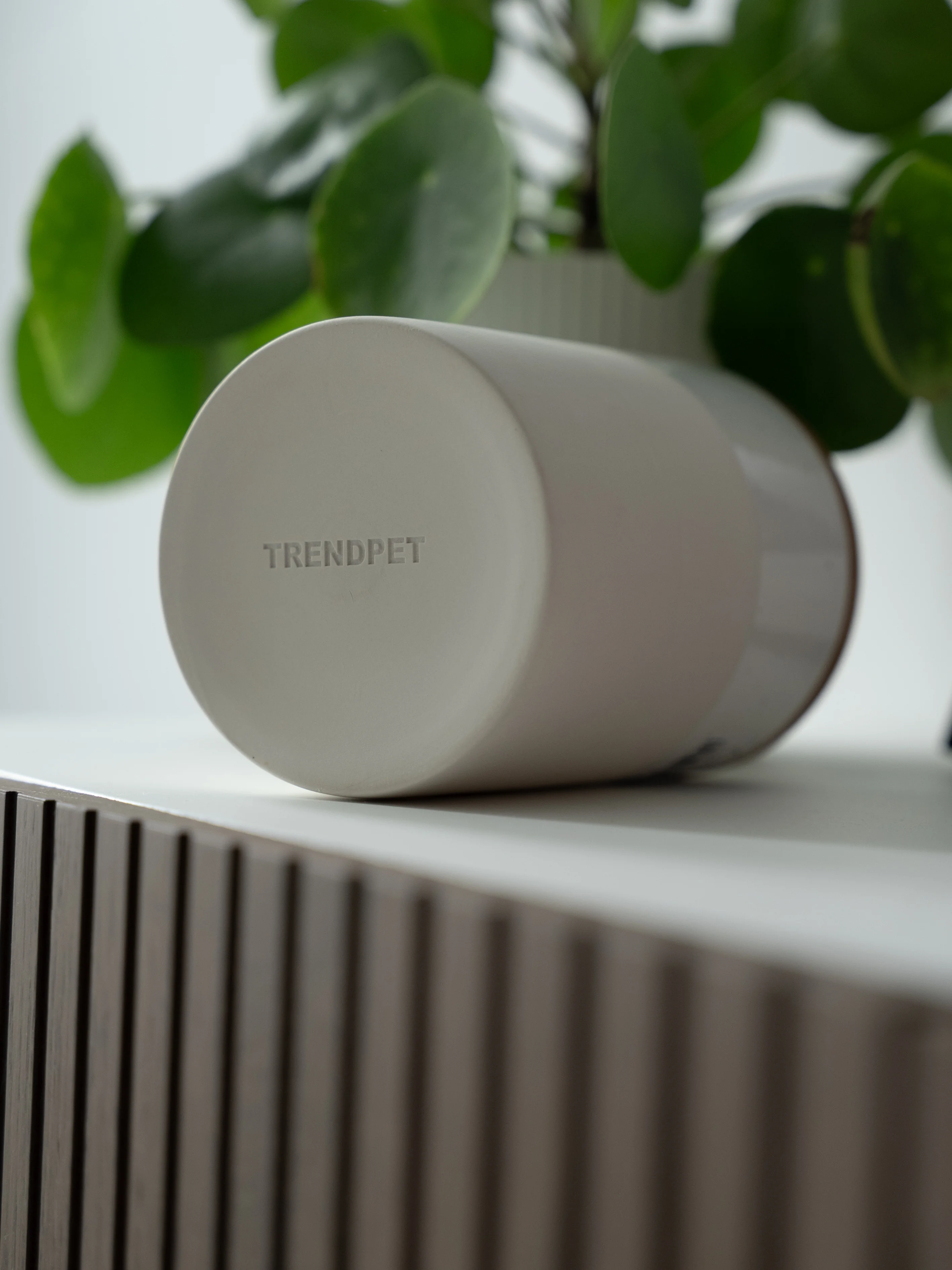 Snackdose Clay von TrendPet