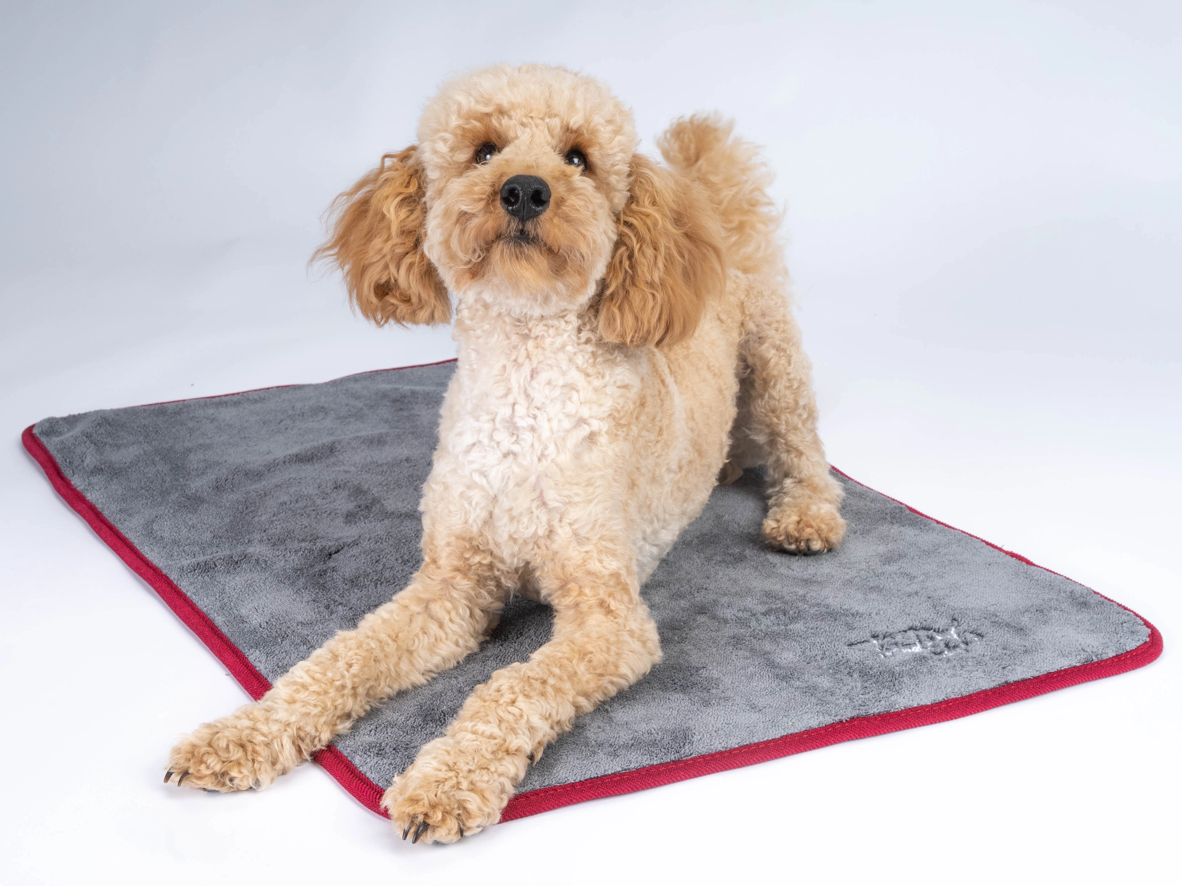 Rubx Kuscheldecke und Trocknungsdecke von TrendPet