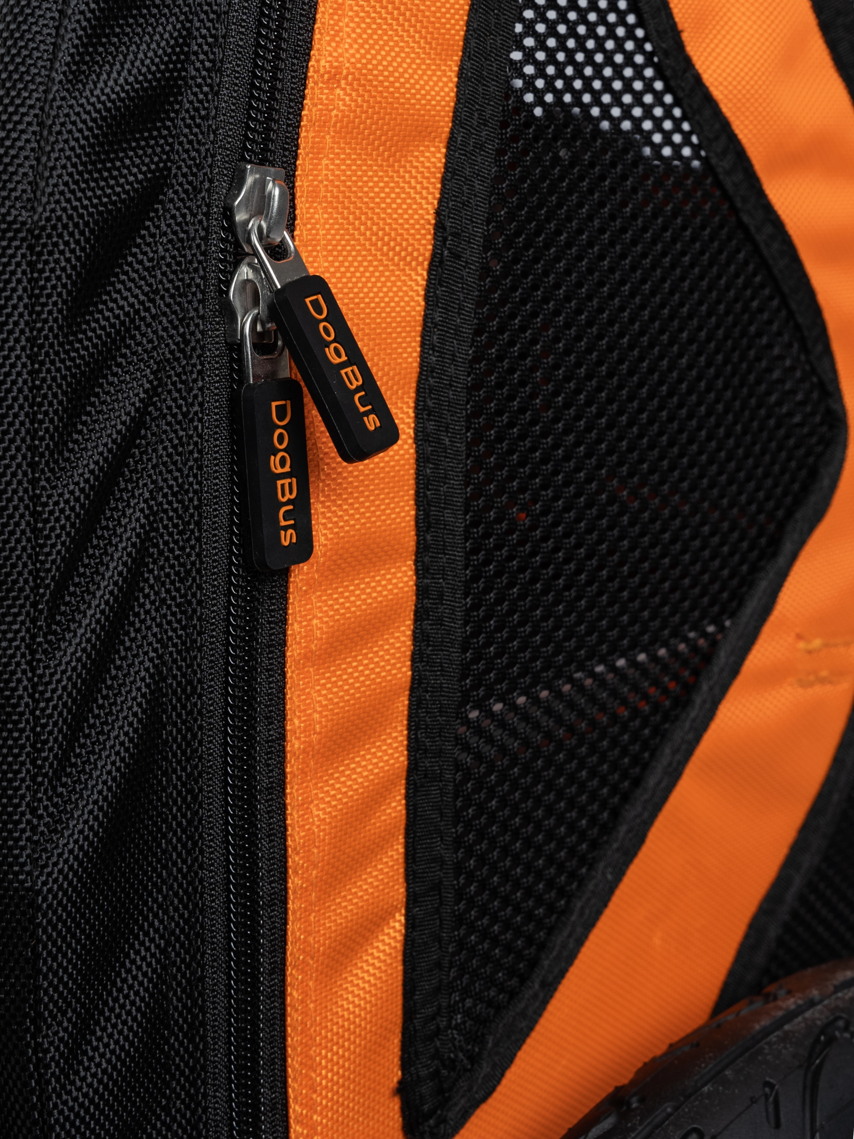 TrendPet DogBus Fahrradanhänger für Hunde