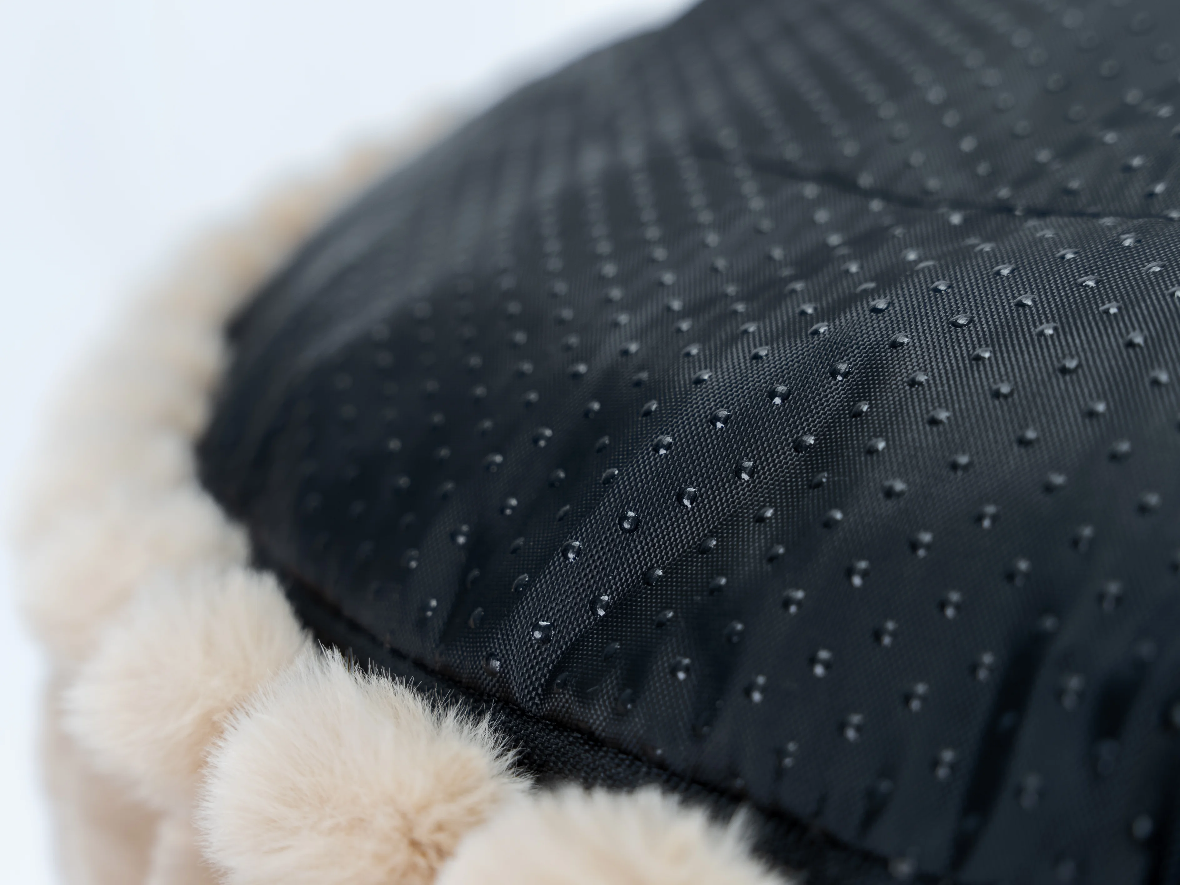 Biscuit Spot von TrendPet