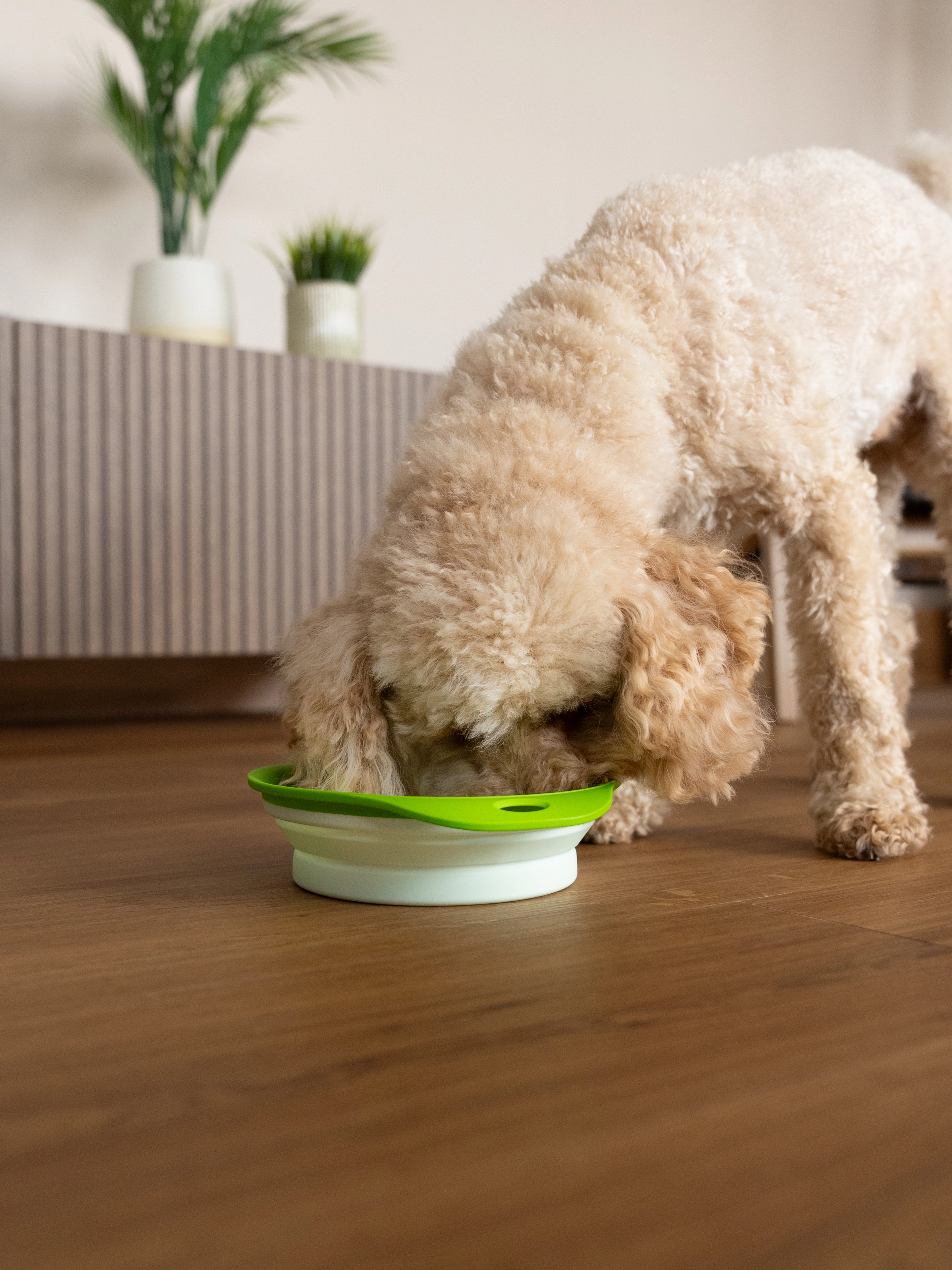 faltbarer Napf Travellino von TrendPet