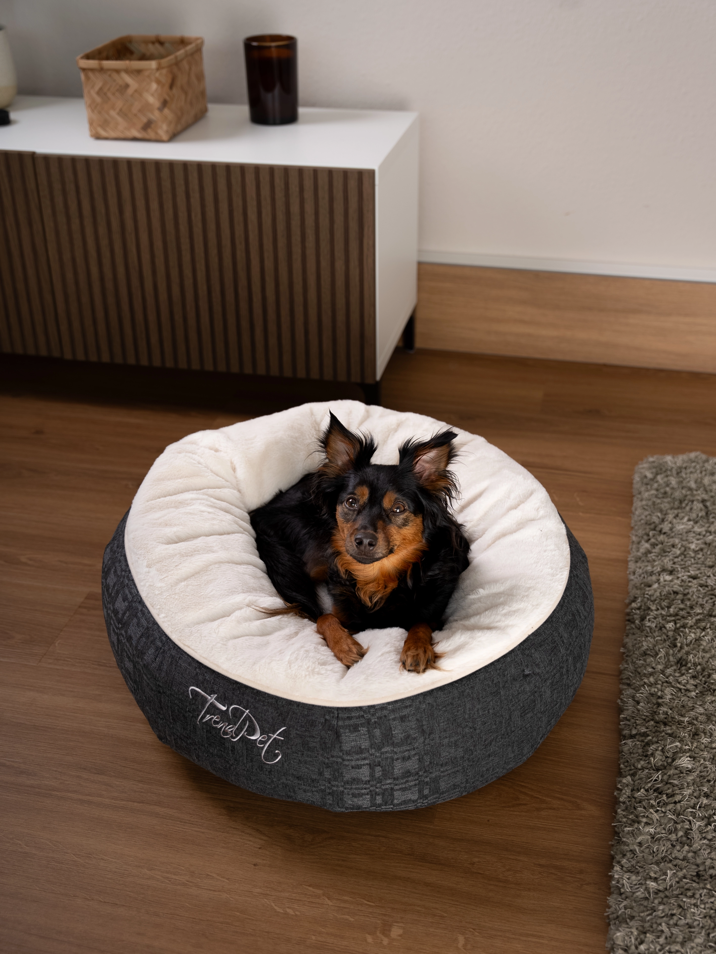 Hund liegt im LunaBed von TrendPet