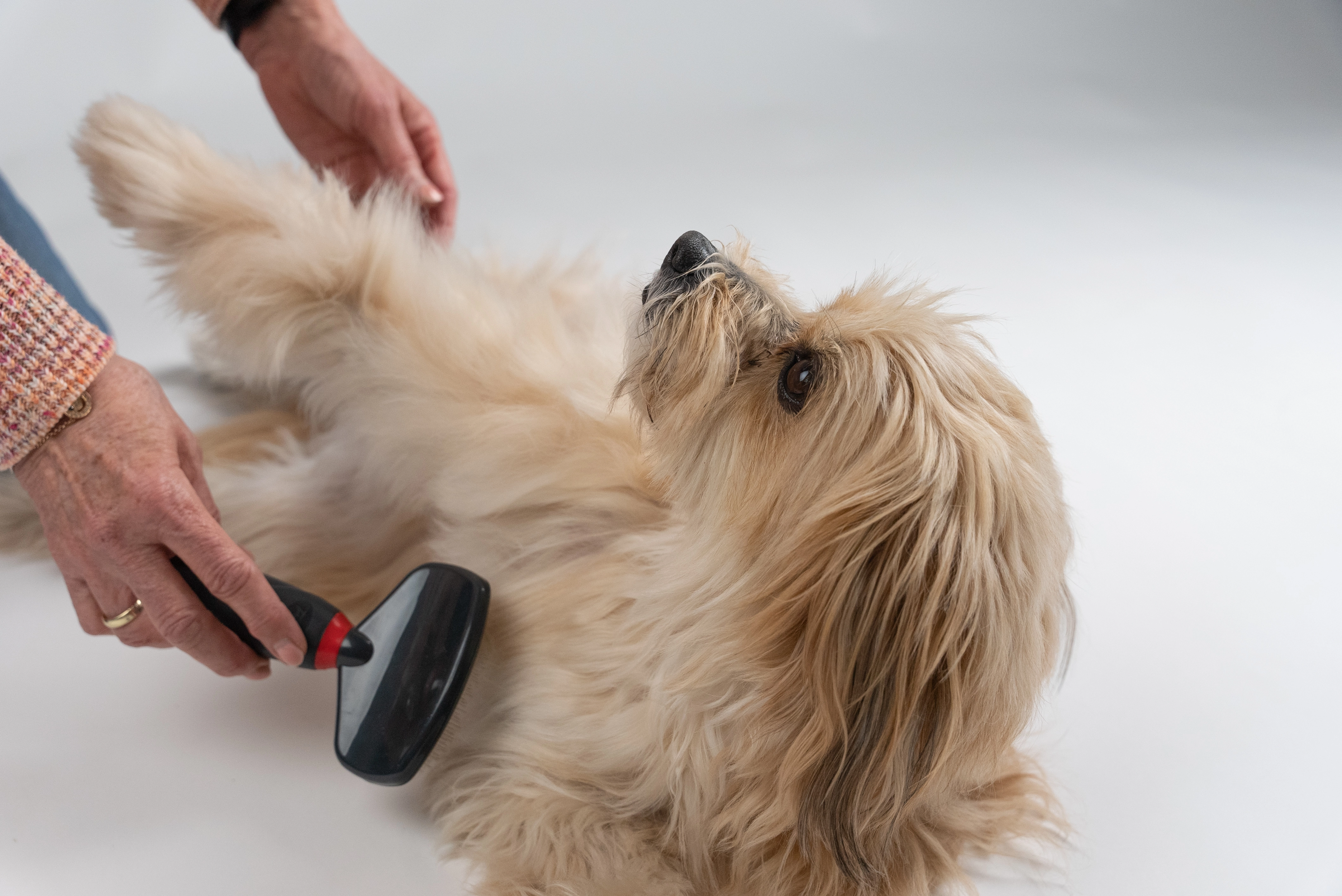 TrendPet Hundepflege Hundebuerste