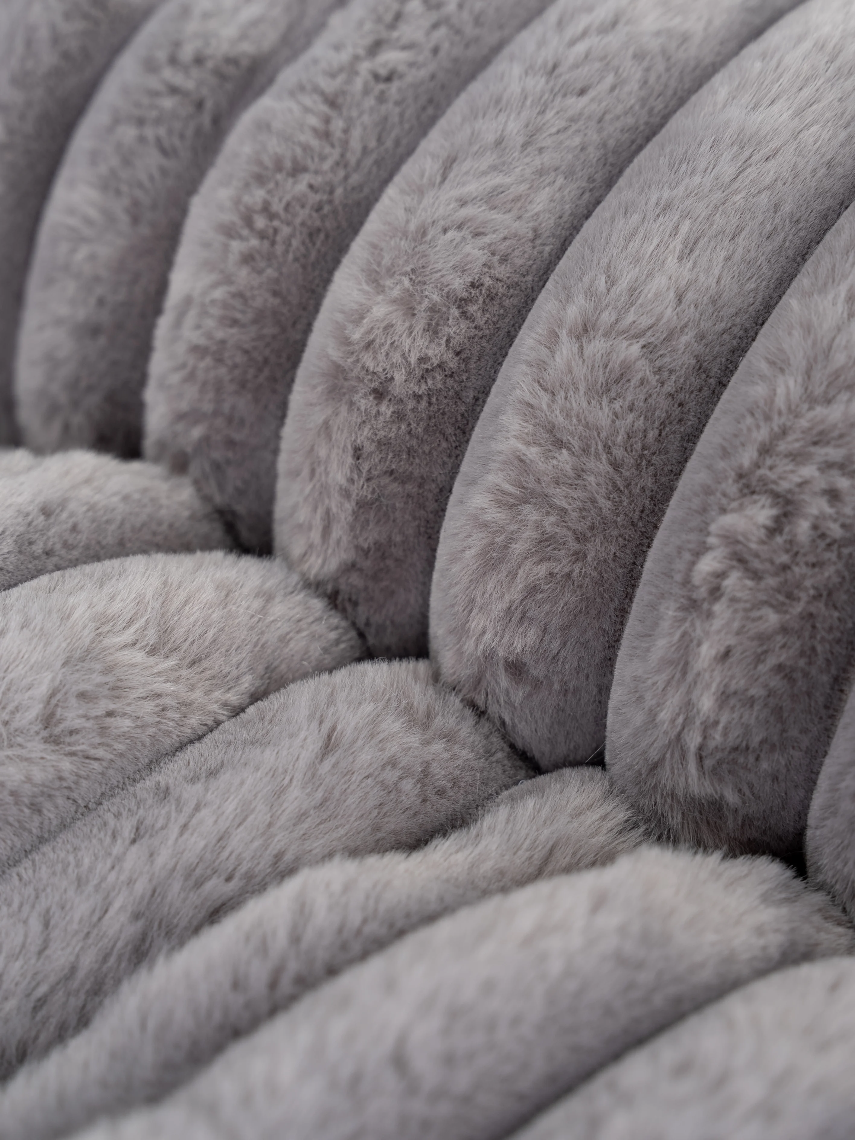 Biscuit Cube von TrendPet