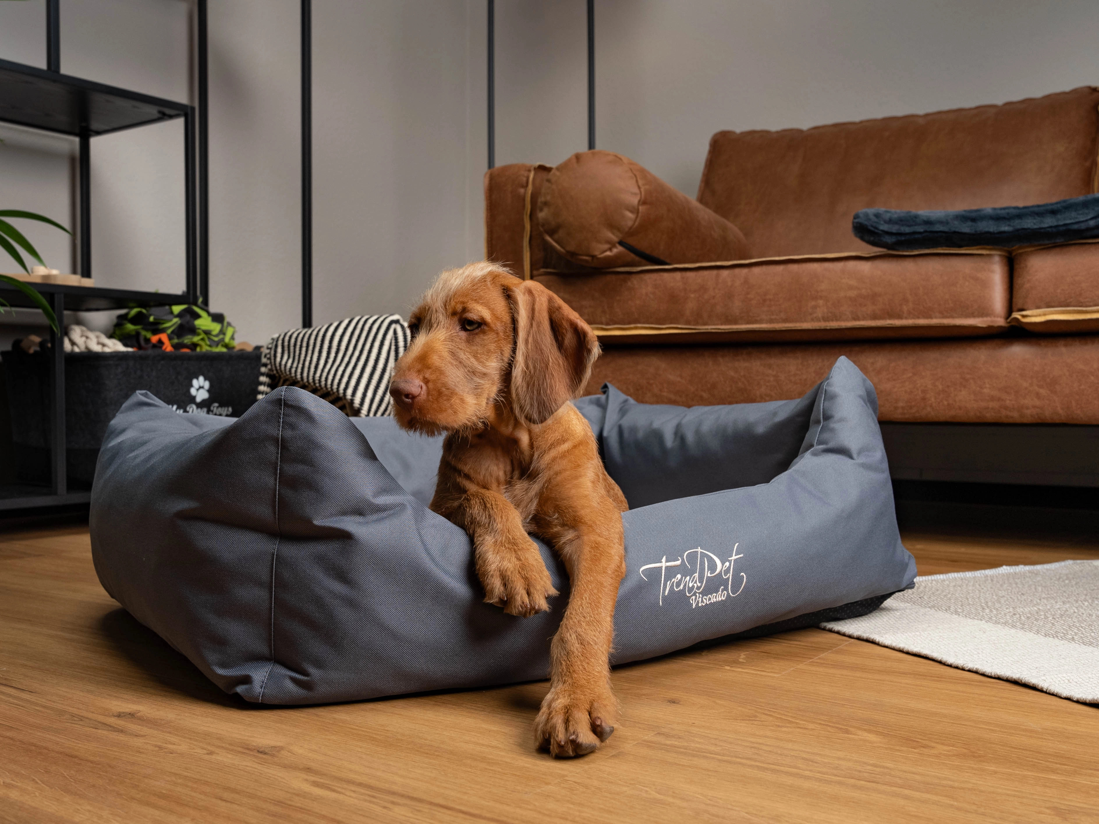 Hundebett Viscado von TrendPet