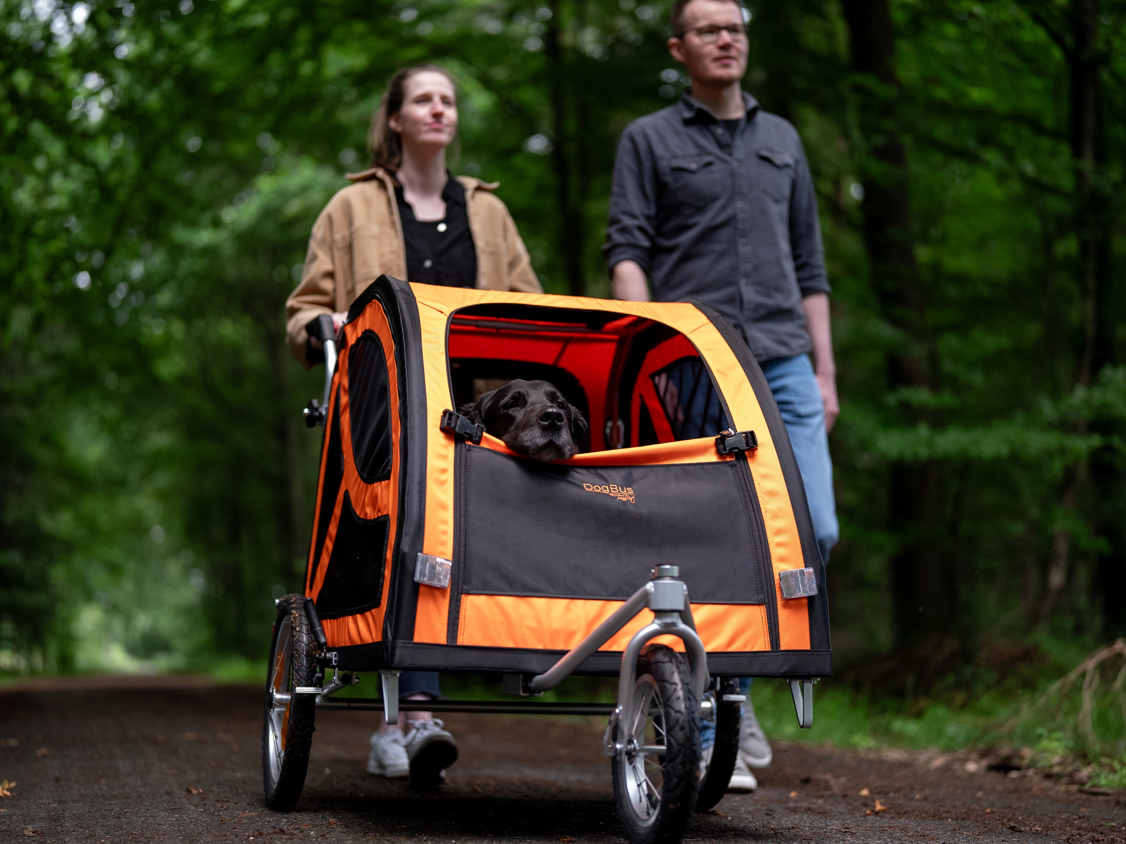 Bundle - DogBus L mit Stroller Kit