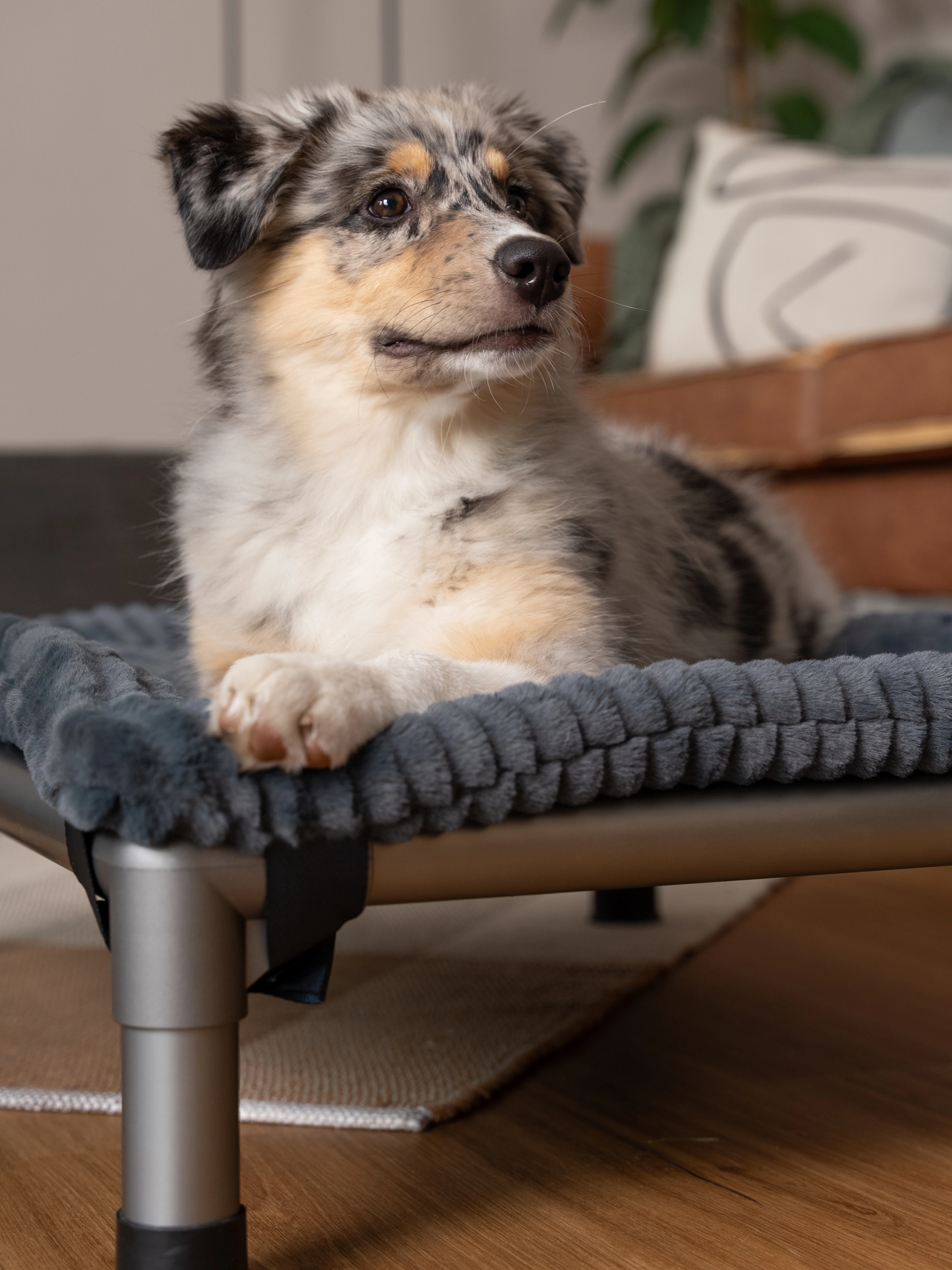 Harmony kuschelige Wendedecke passend zum HighBed von TrendPet für Hunde