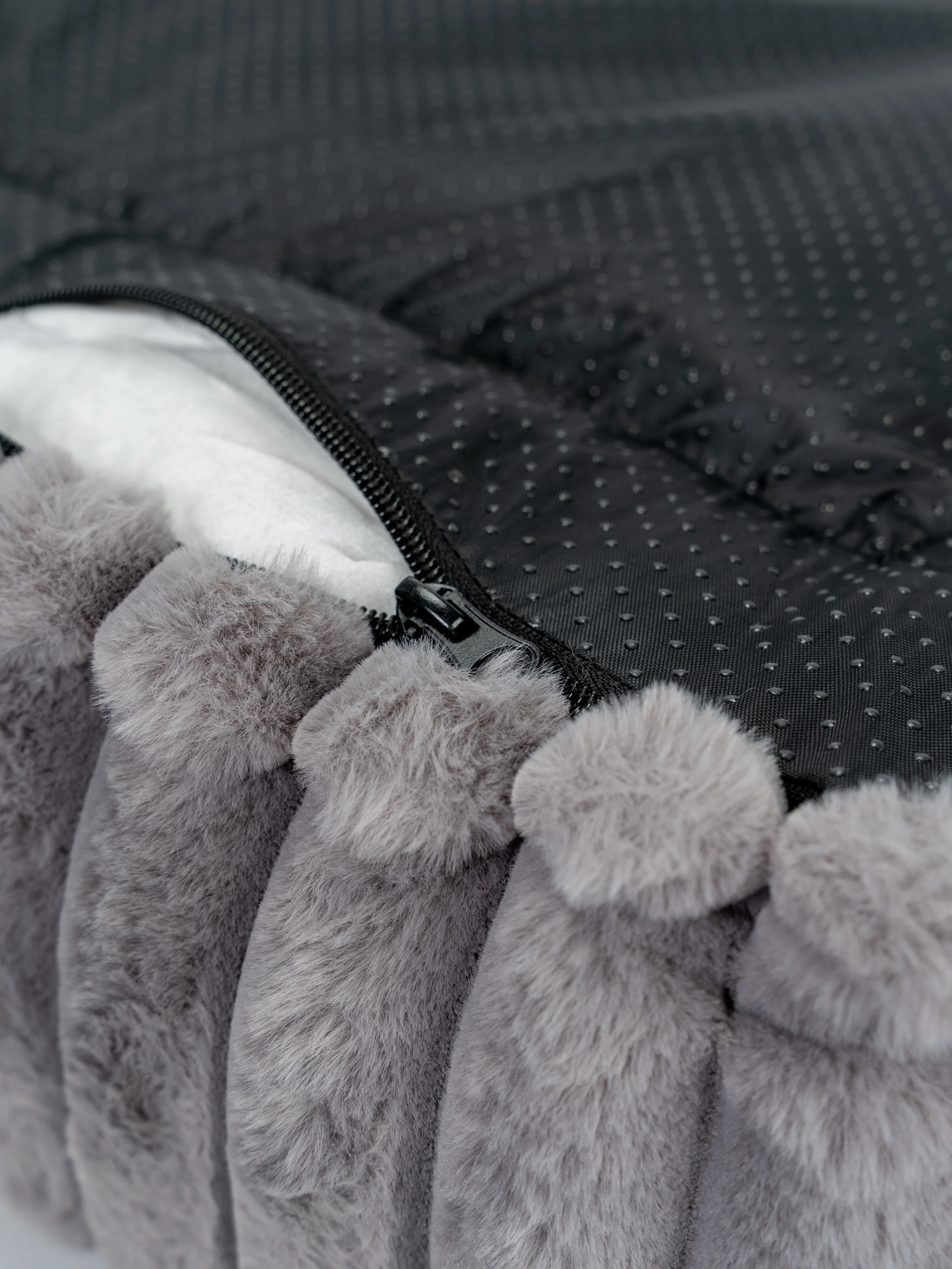 Biscuit Cube von TrendPet