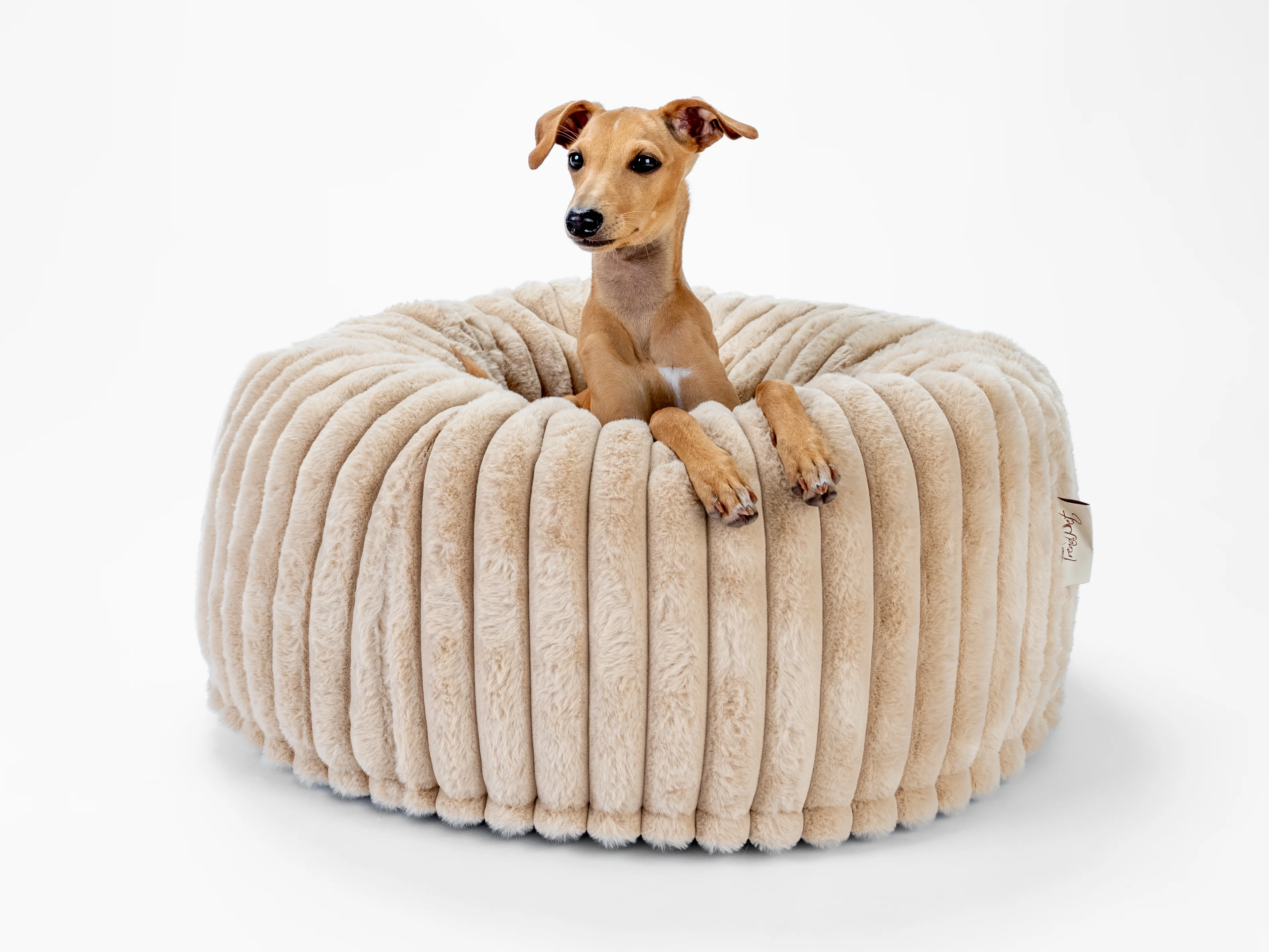 Biscuit Spot von TrendPet